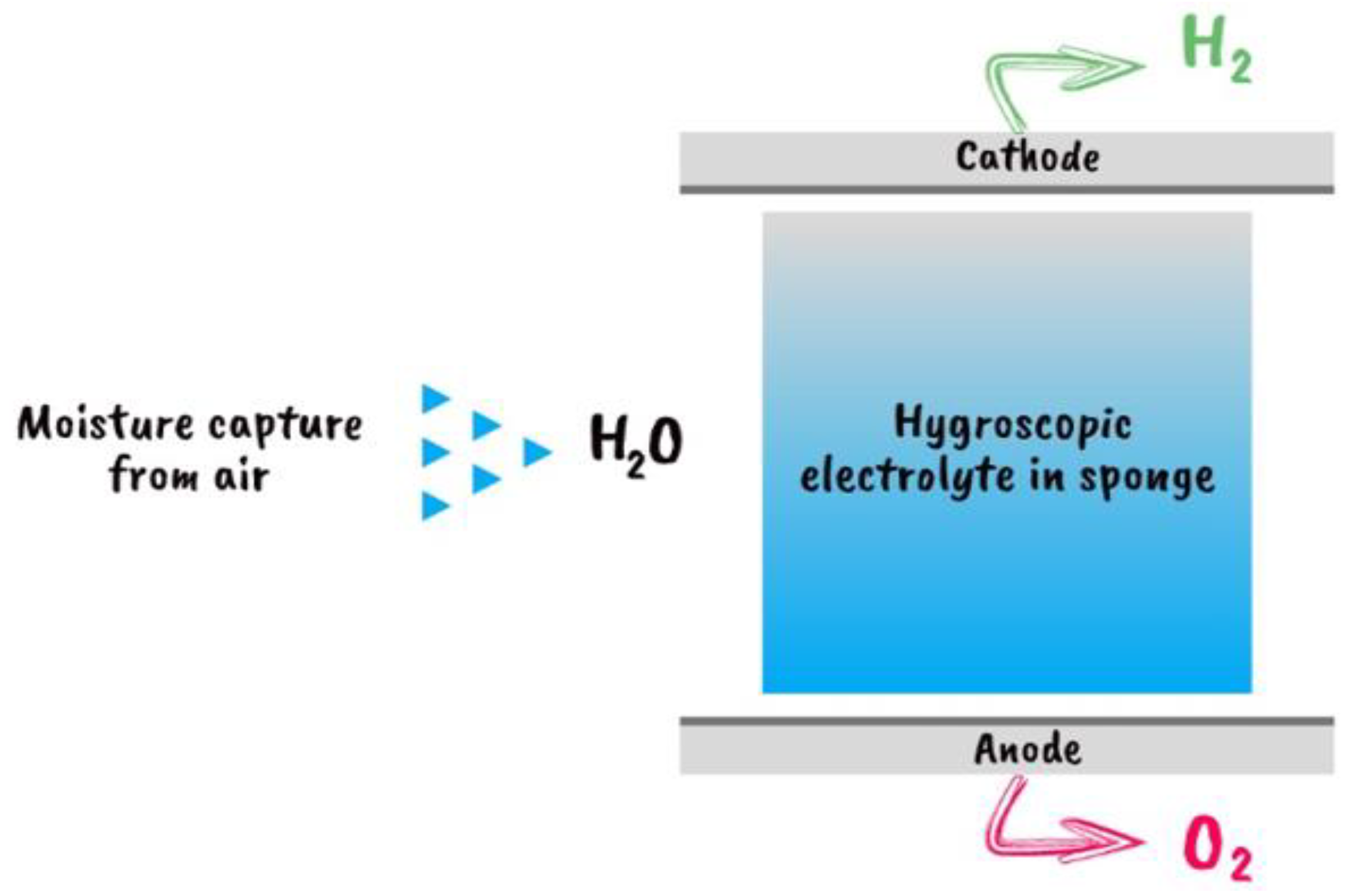 Applsci 13 08711 g013
