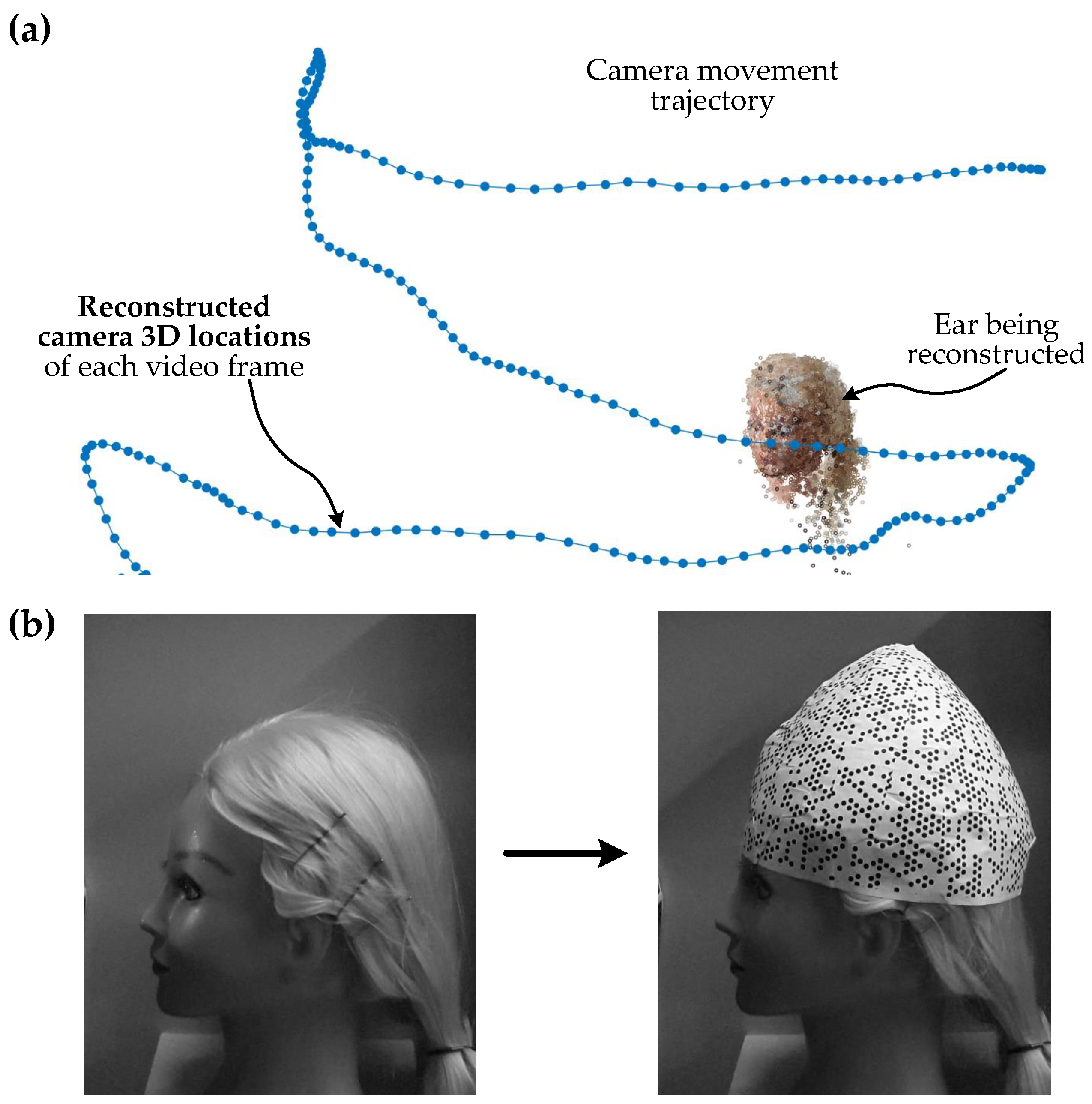 Applsci 13 08712 g001