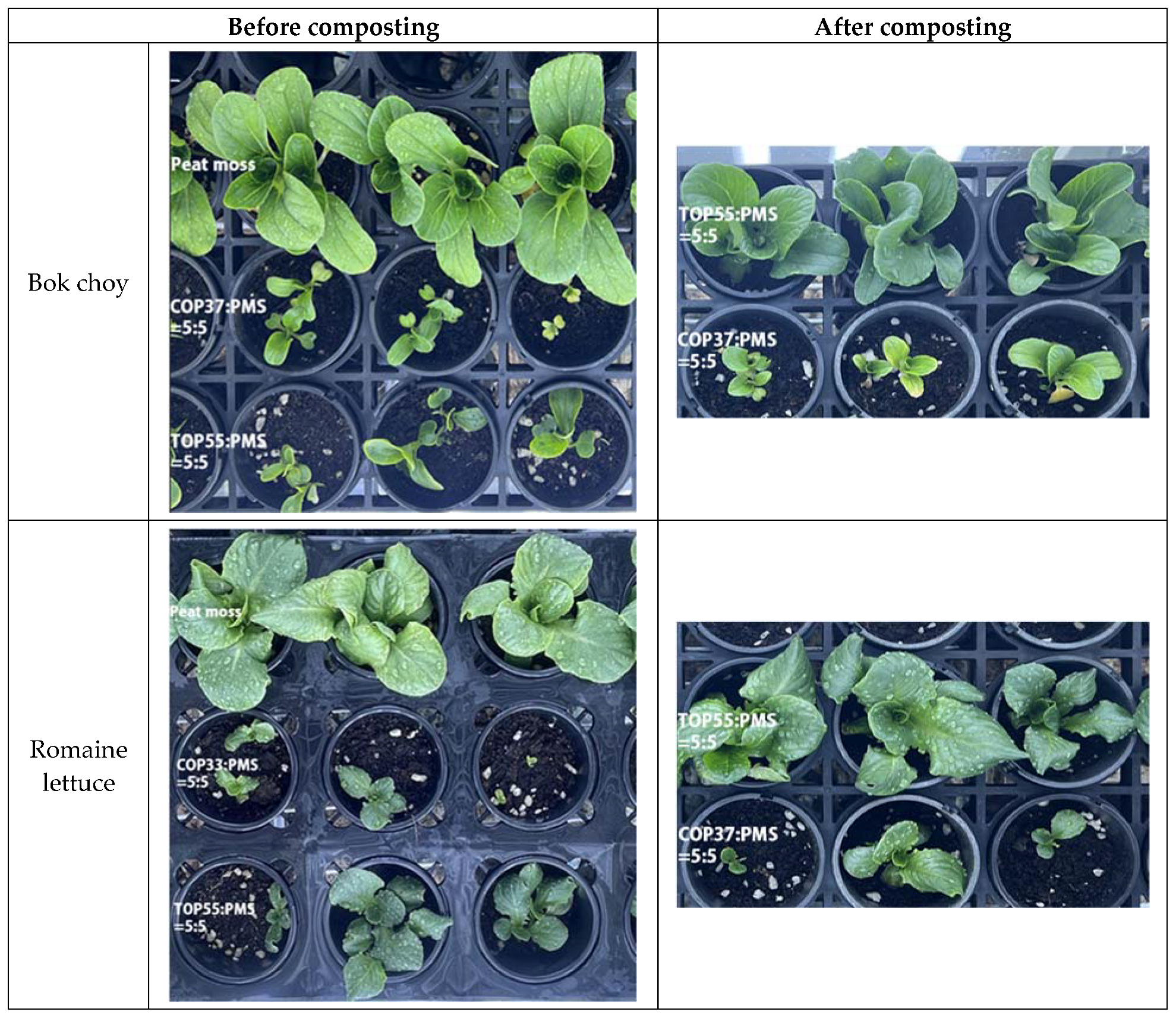 Applsci 13 08723 g010