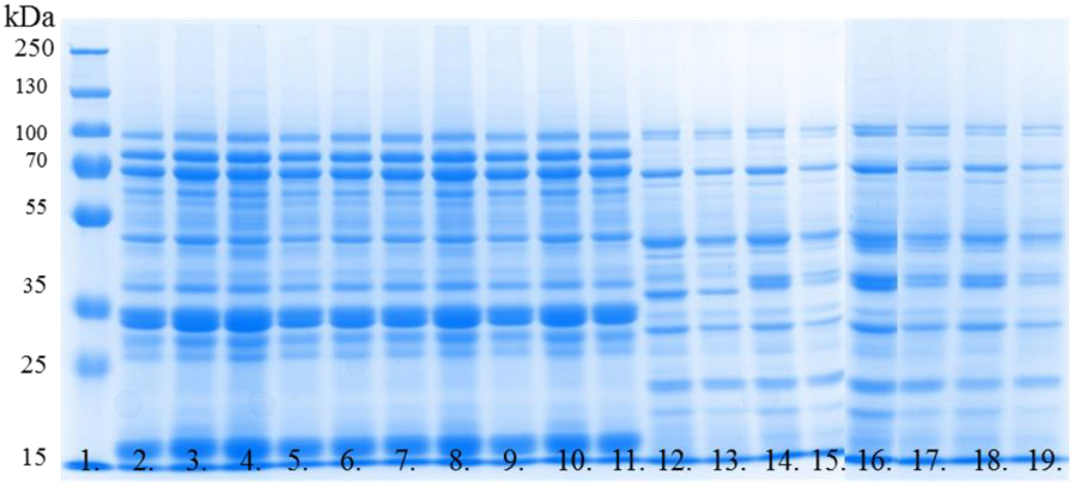 Applsci 13 08724 g005 Applsci 13 08724 g005