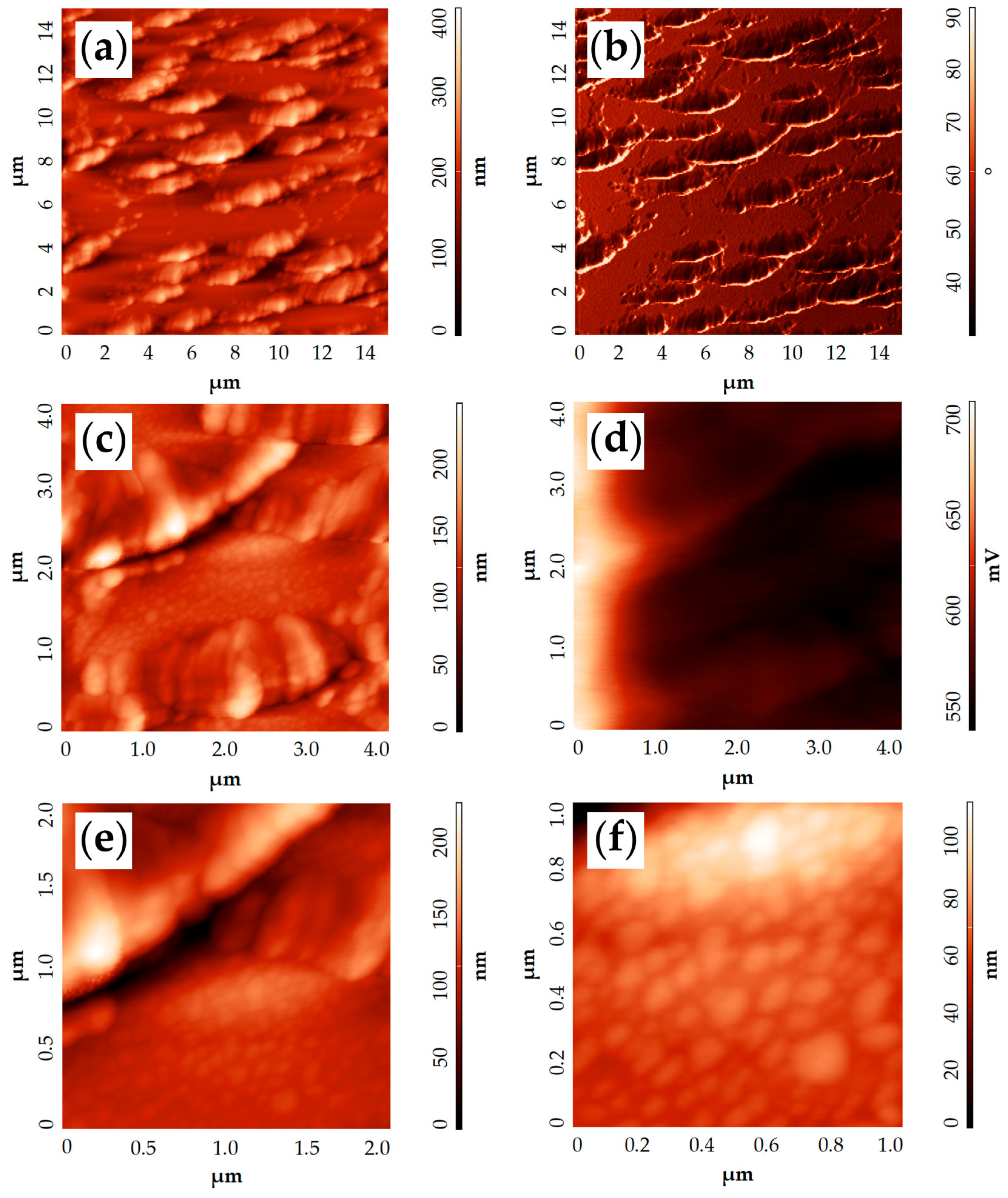 Applsci 13 08729 g006 Applsci 13 08729 g006