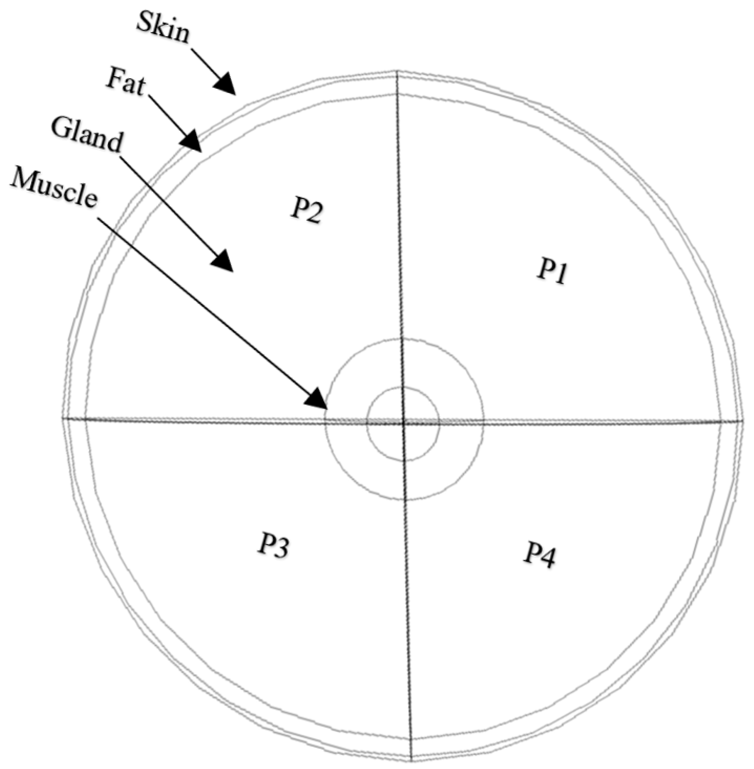 Applsci 13 08752 g001