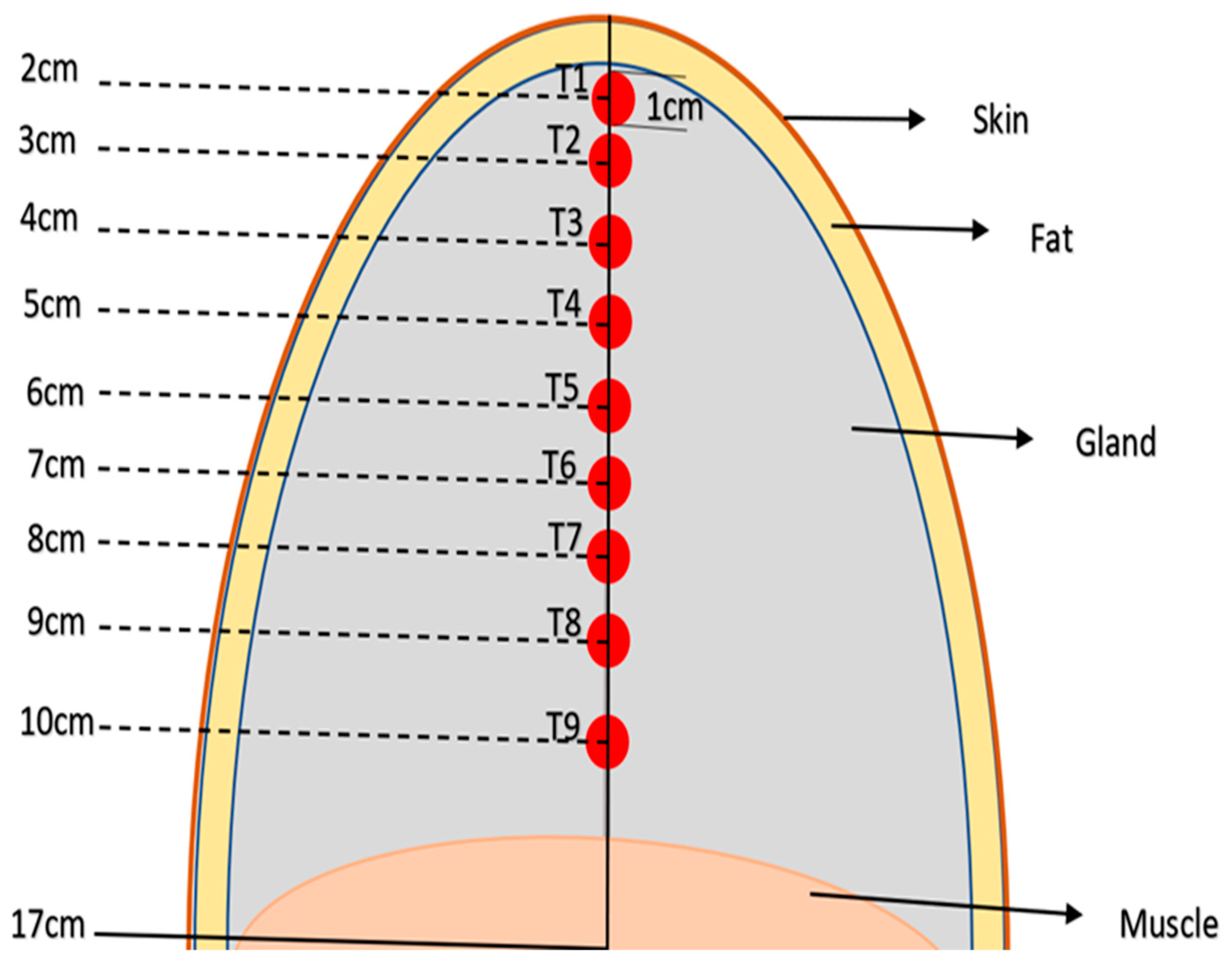 Applsci 13 08752 g003