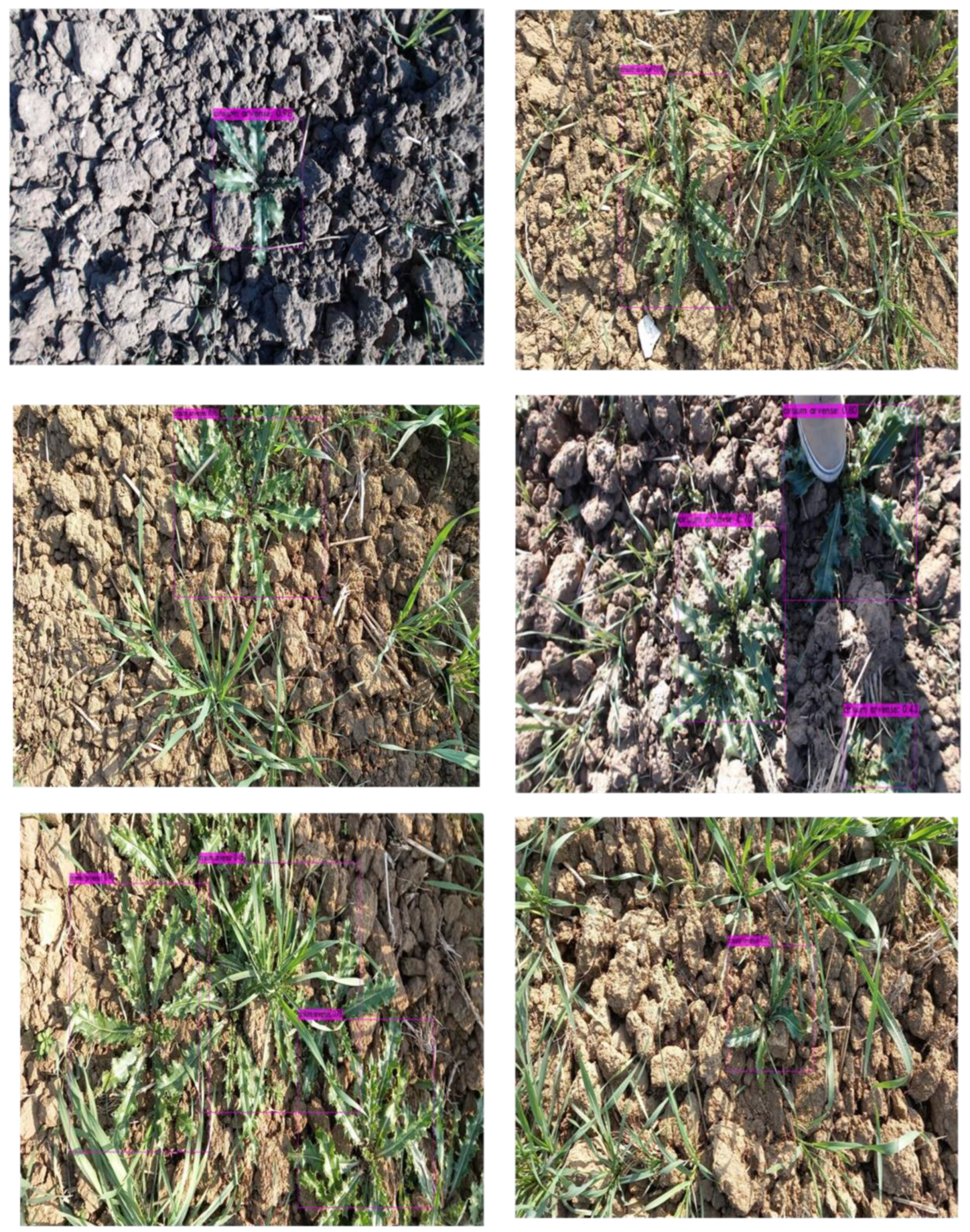 Applsci 13 08840 g008a