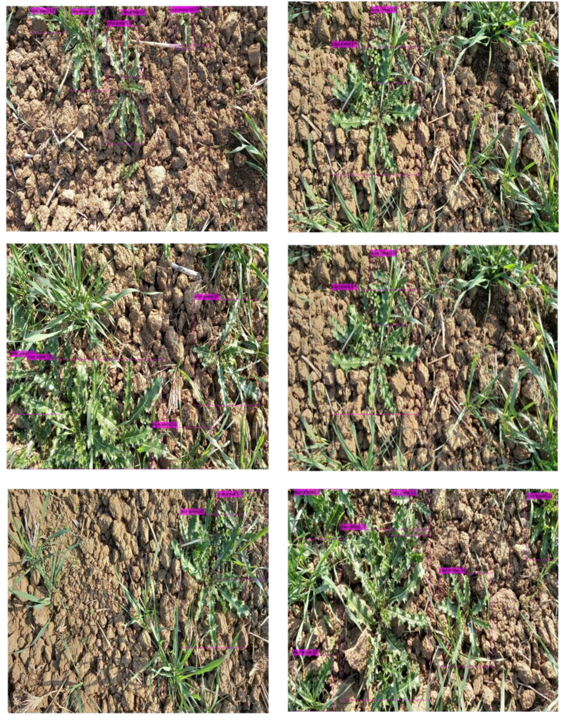 Applsci 13 08840 g008b