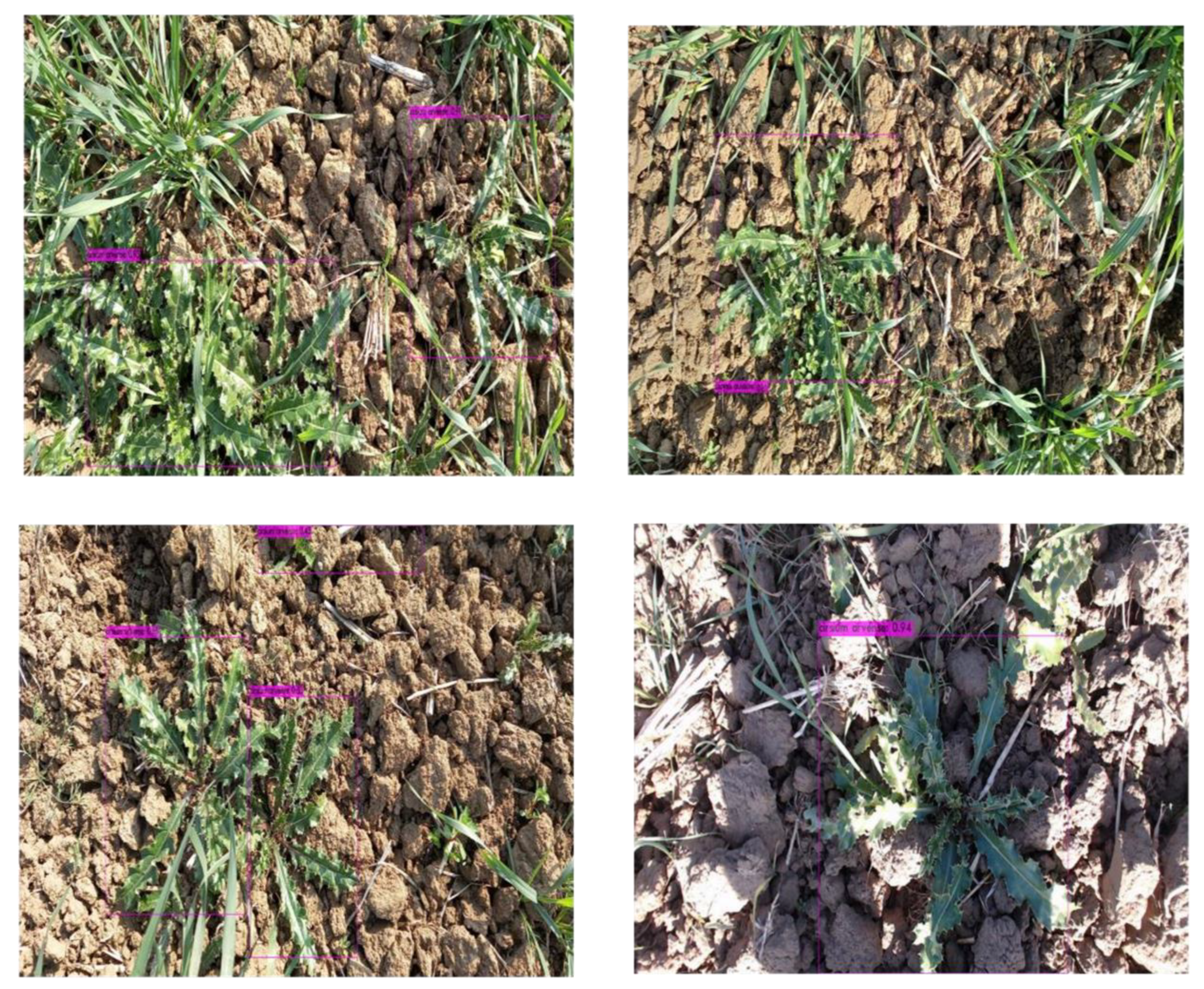 Applsci 13 08840 g009