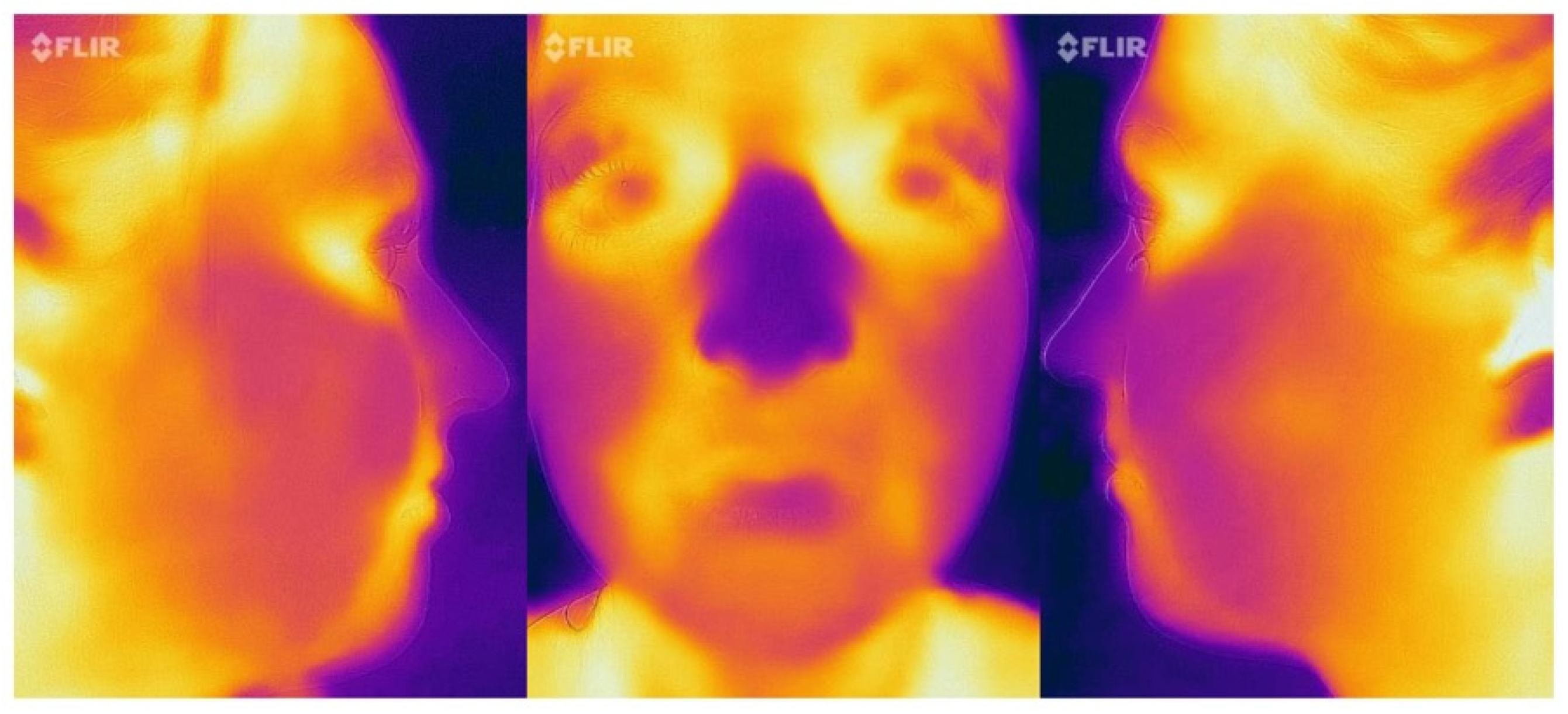 Applsci 13 08851 g001