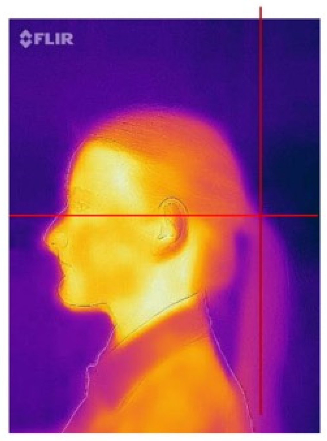 Applsci 13 08851 g005