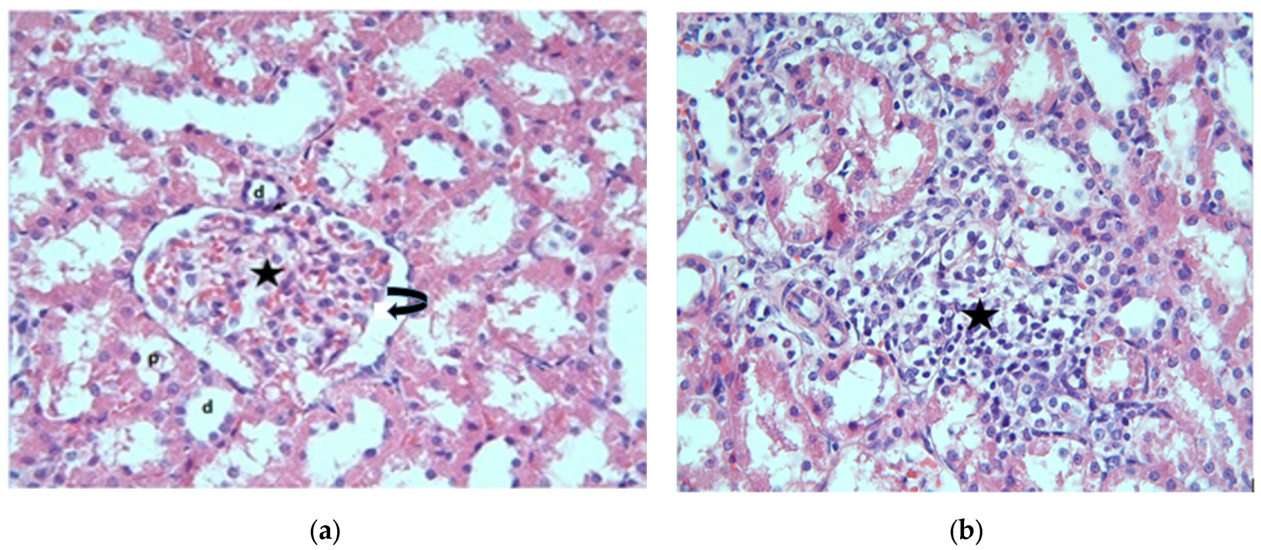 Applsci 13 08870 g001