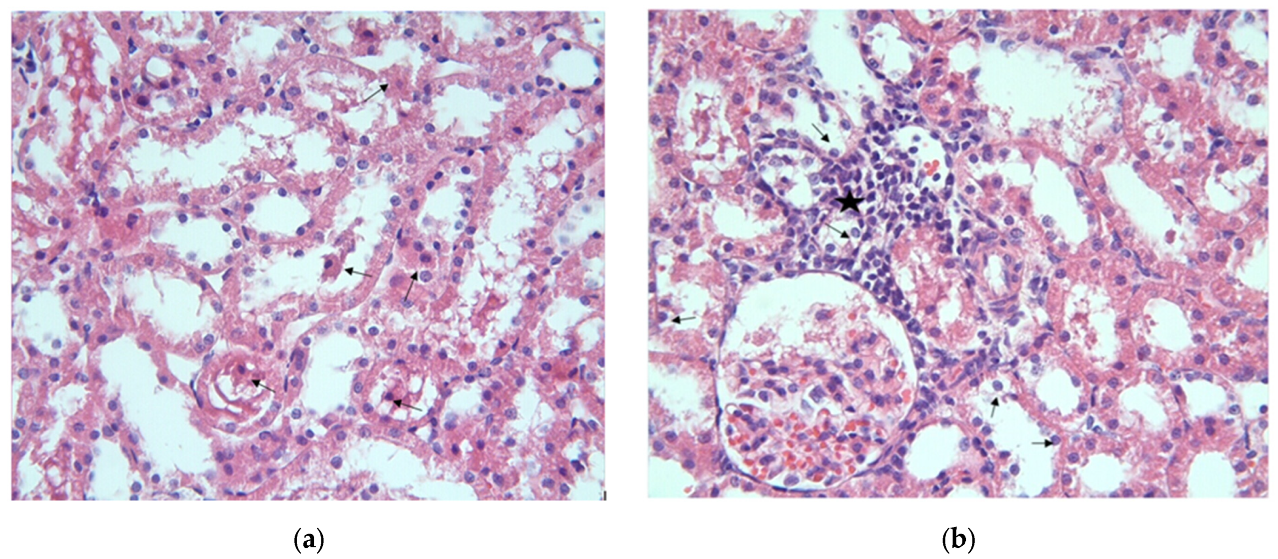 Applsci 13 08870 g002