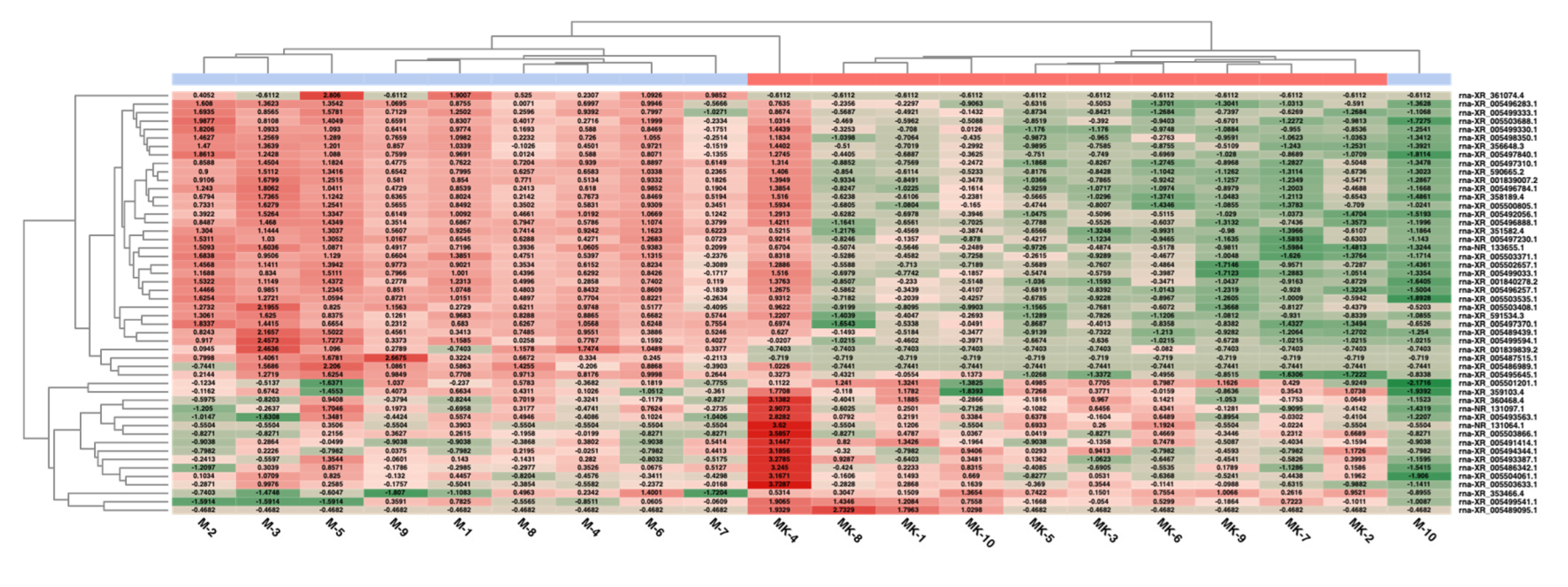 Applsci 13 08870 g006