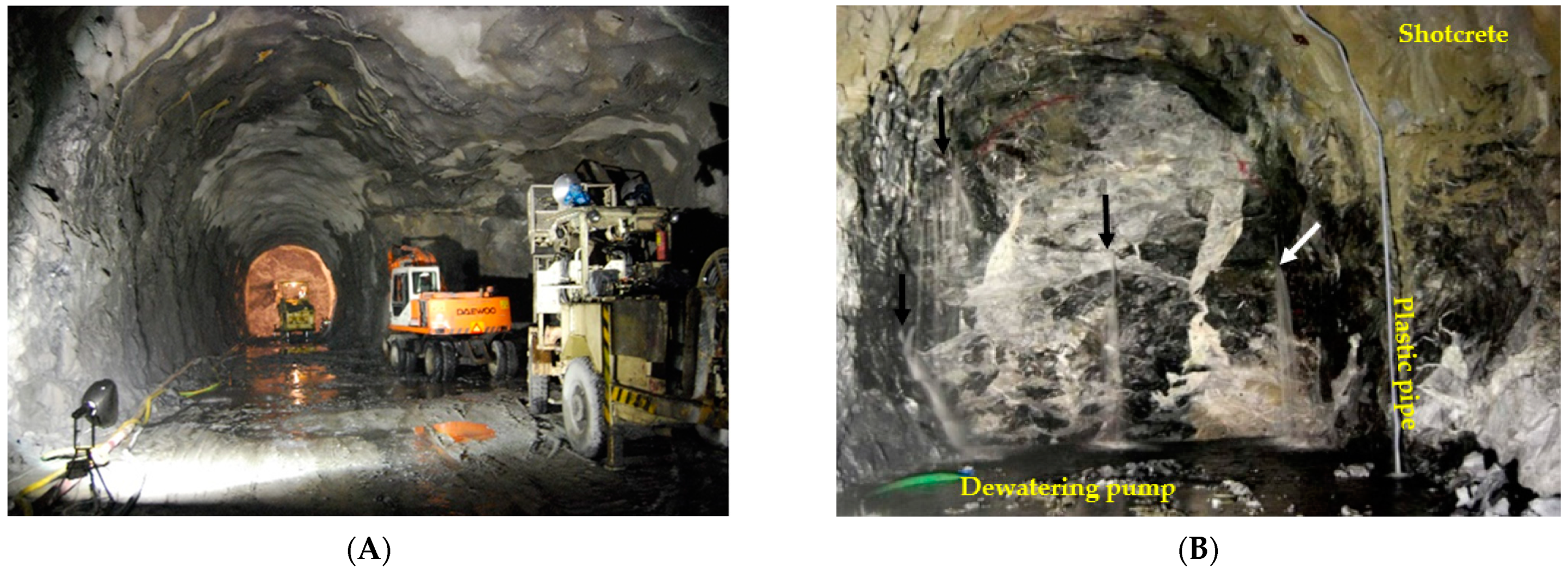 Applsci 13 08895 g003