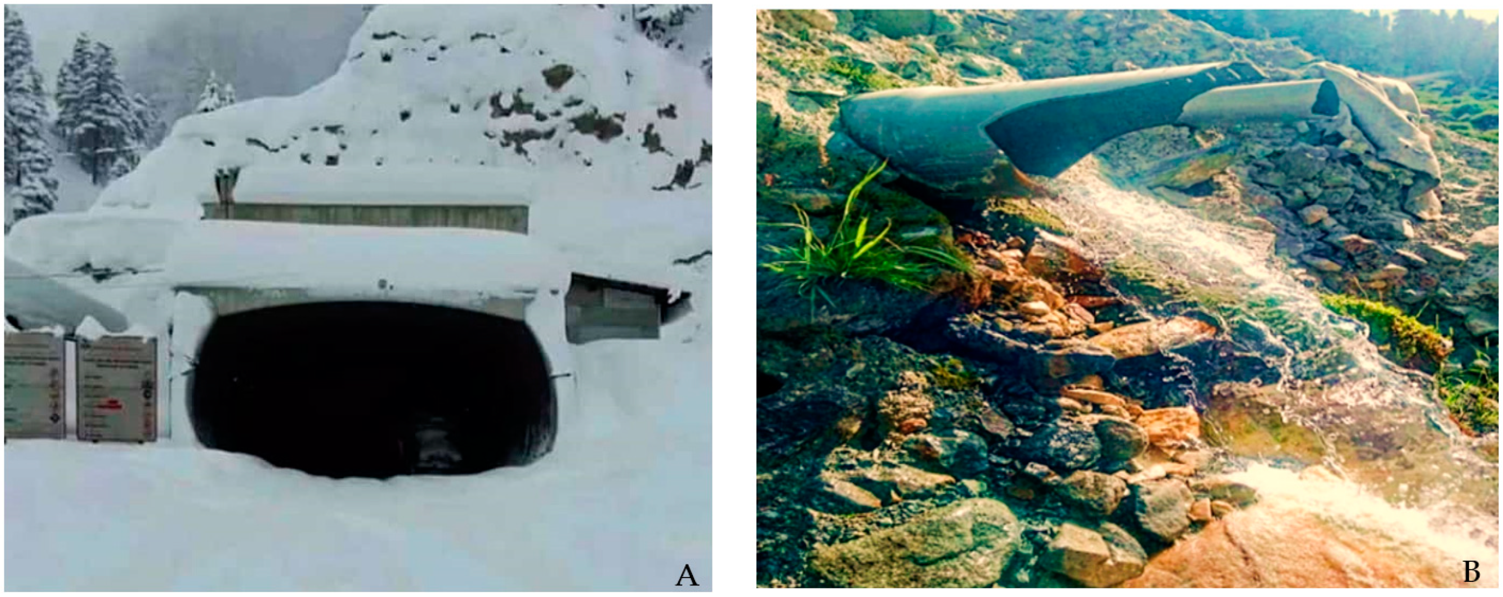 Applsci 13 08895 g004