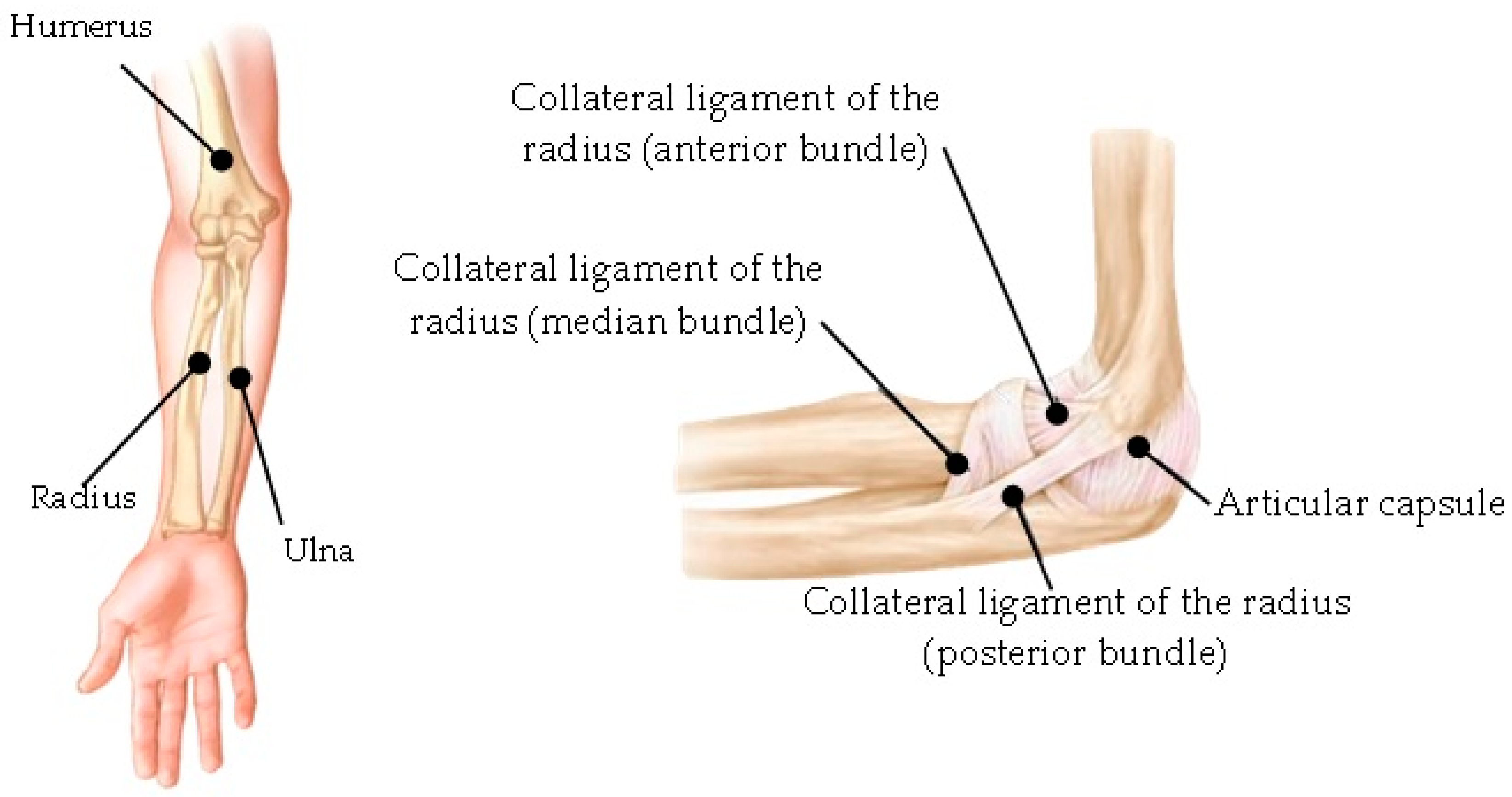 Applsci 13 08903 g002 Applsci 13 08903 g002