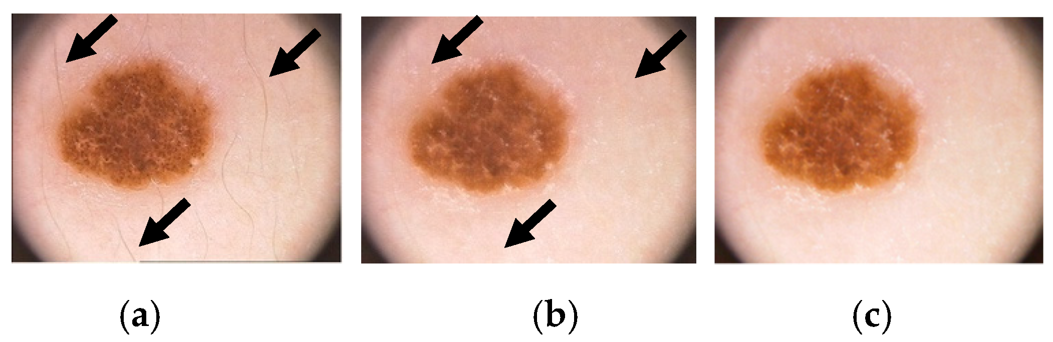 Applsci 13 08927 g003