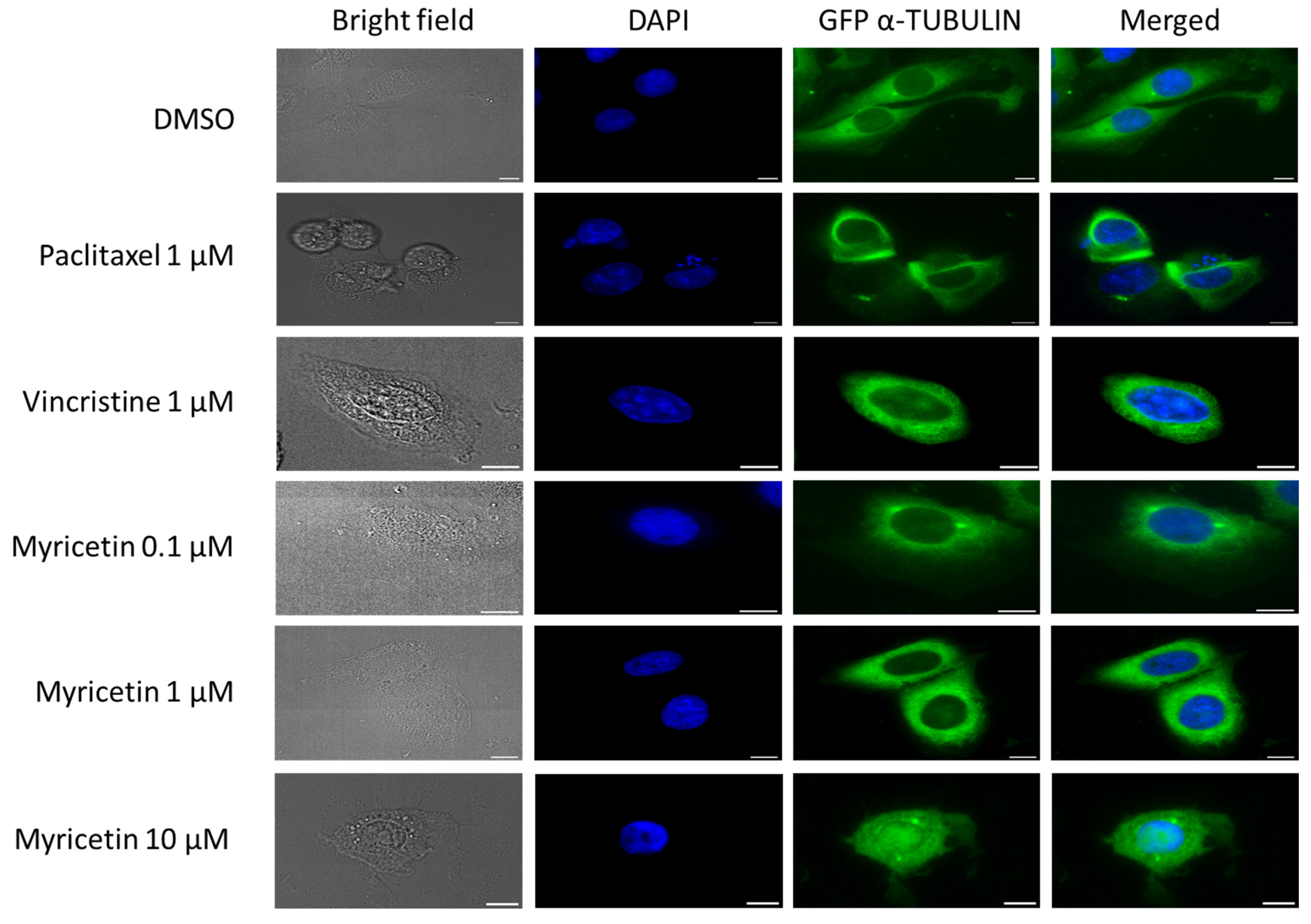 Applsci 13 08935 g007