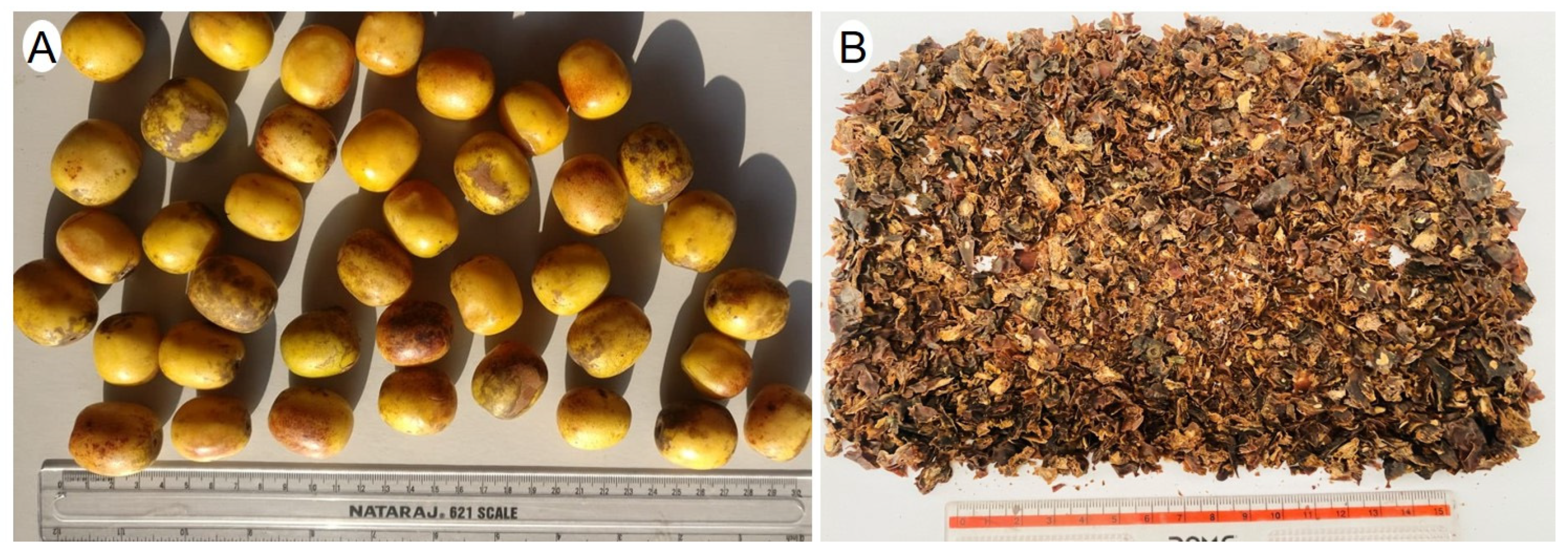 Applsci 13 08945 g001 Applsci 13 08945 g001