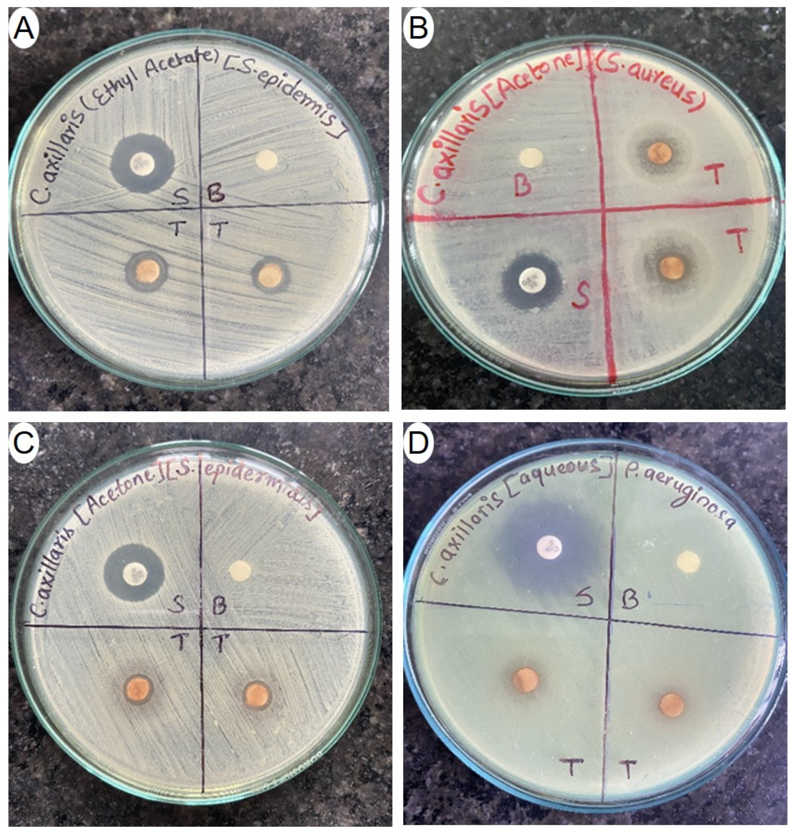 Applsci 13 08945 g004 Applsci 13 08945 g004