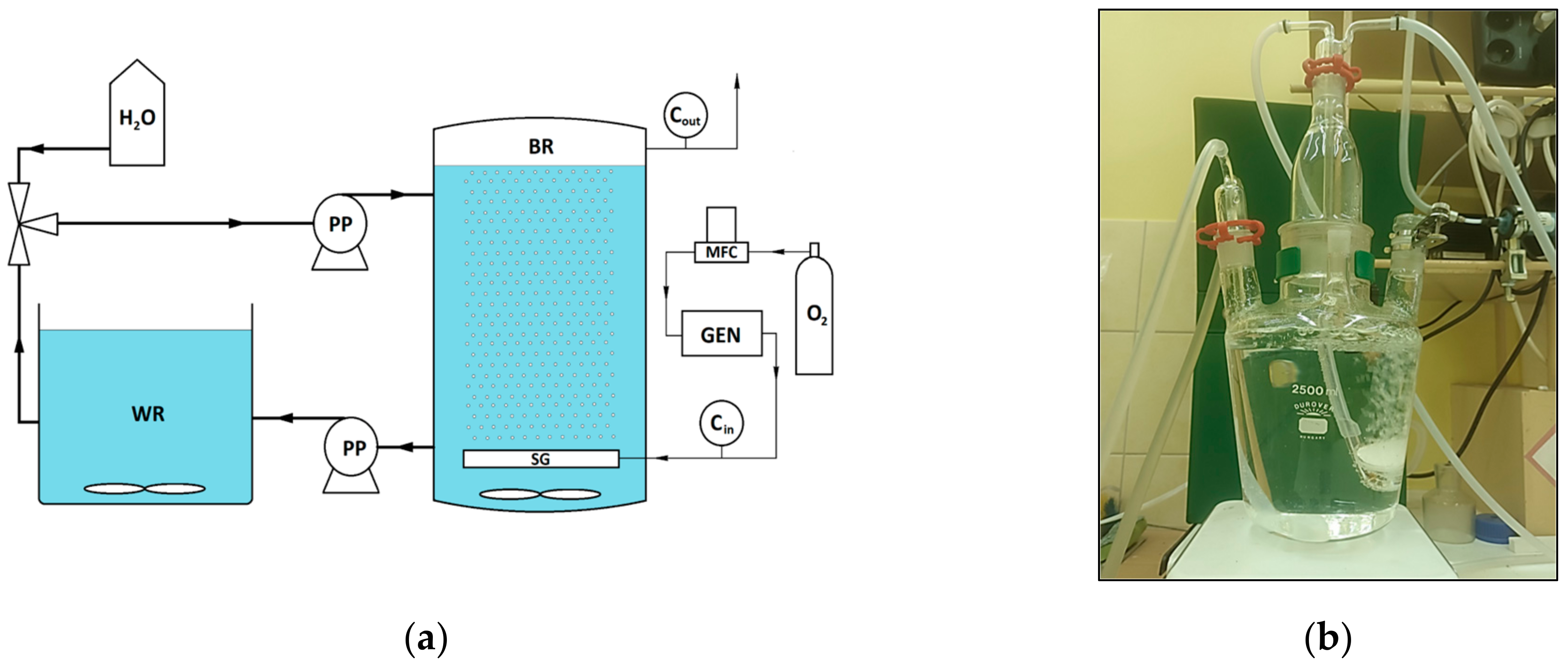 Applsci 13 08946 g001