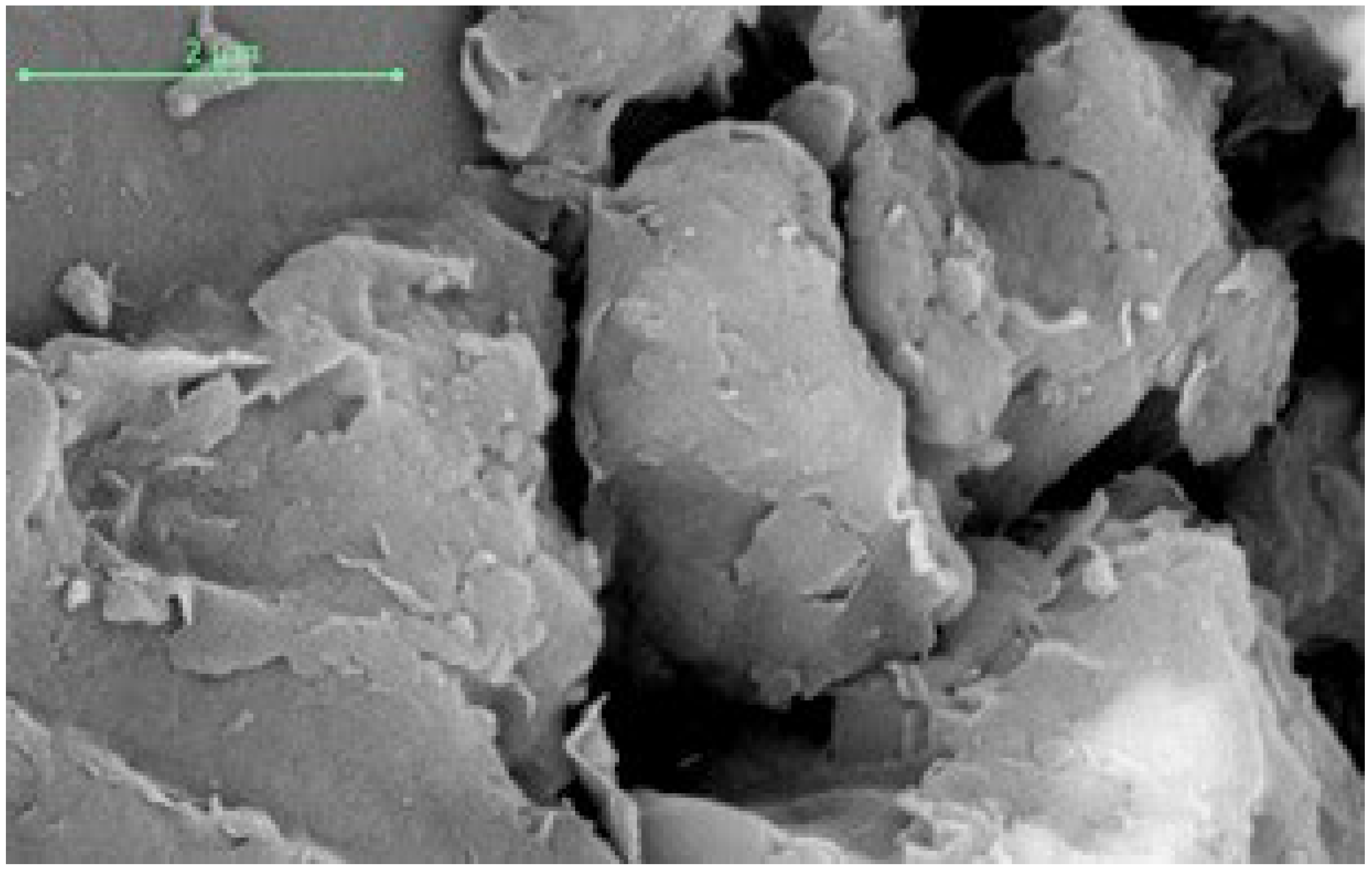 Applsci 13 08948 g002 Applsci 13 08948 g002