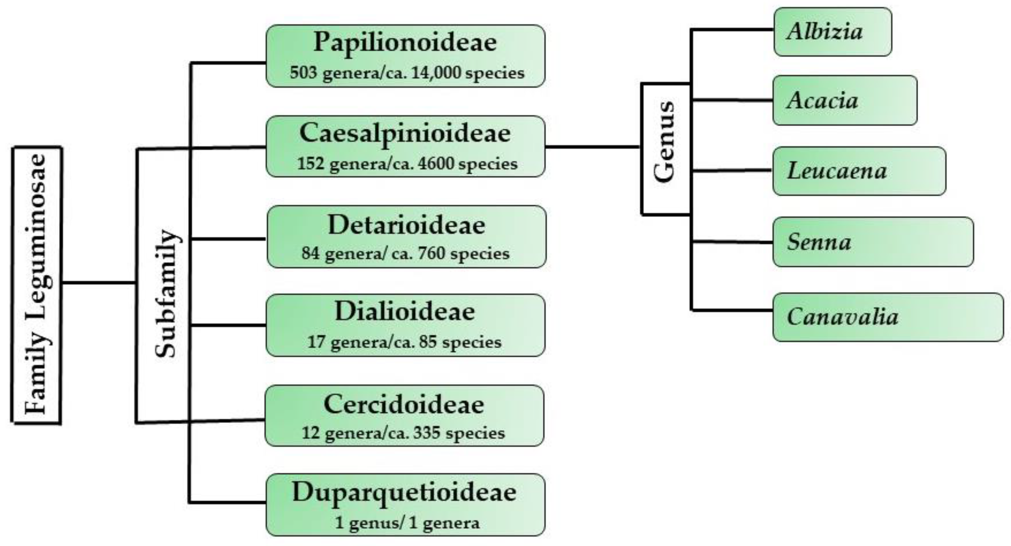 Applsci 13 08972 g001 Applsci 13 08972 g001