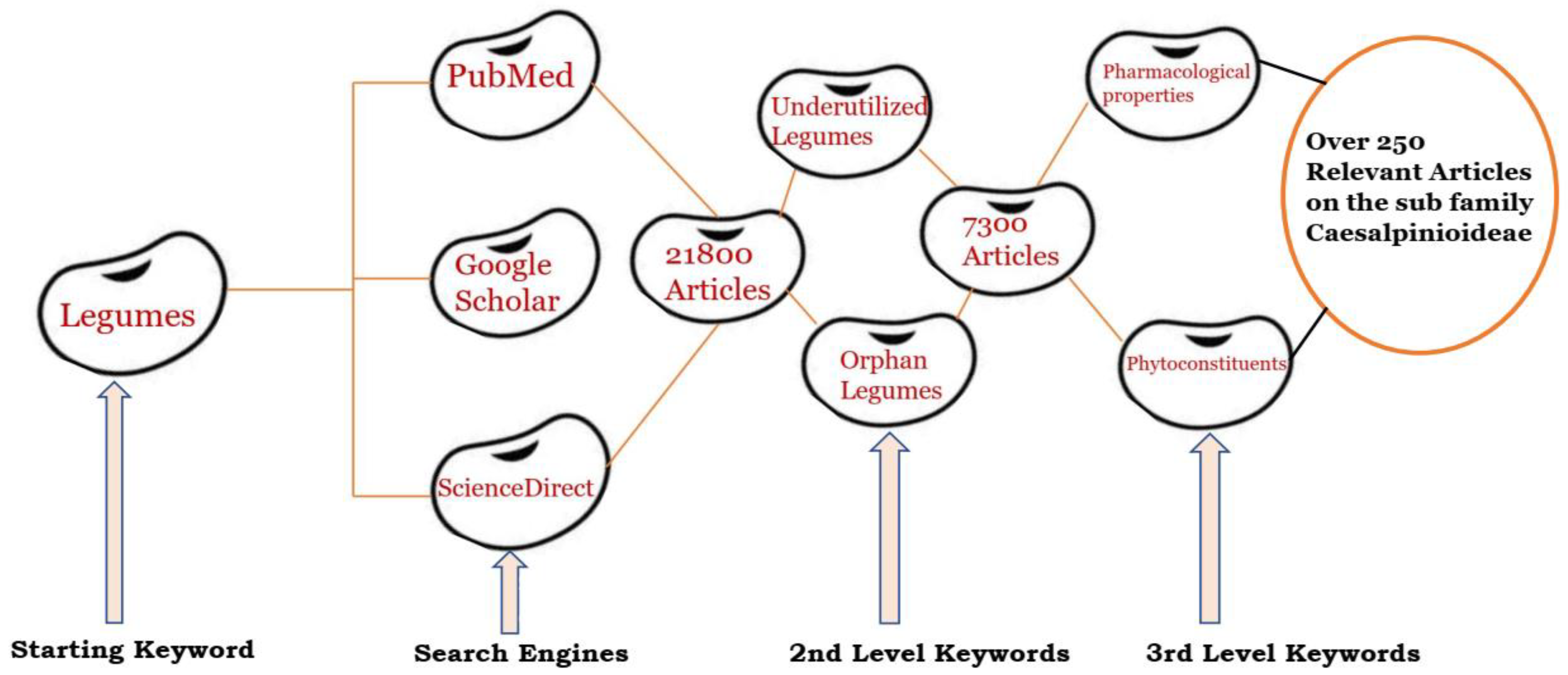 Applsci 13 08972 g002 Applsci 13 08972 g002