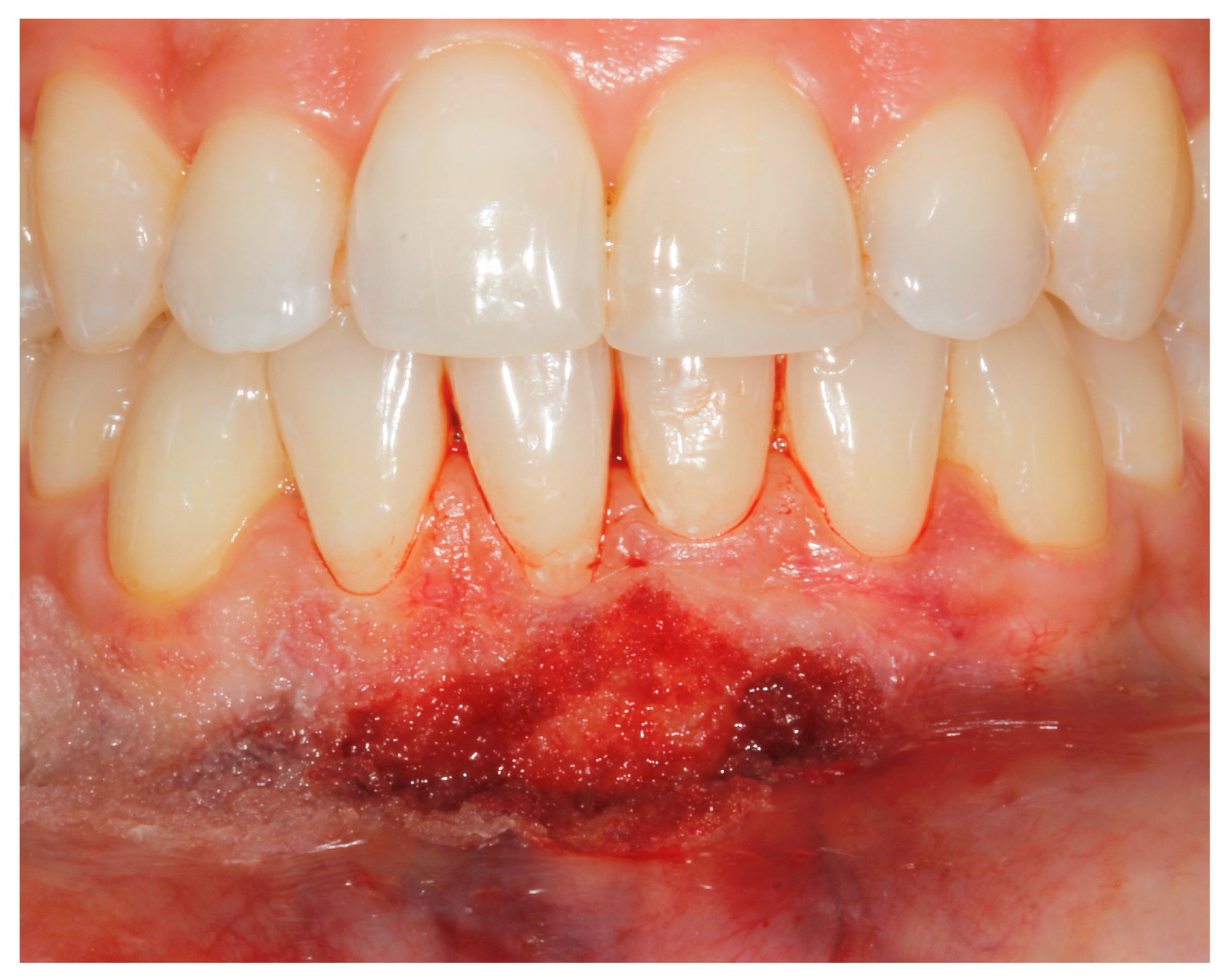 Applsci 13 08979 g005 Applsci 13 08979 g005