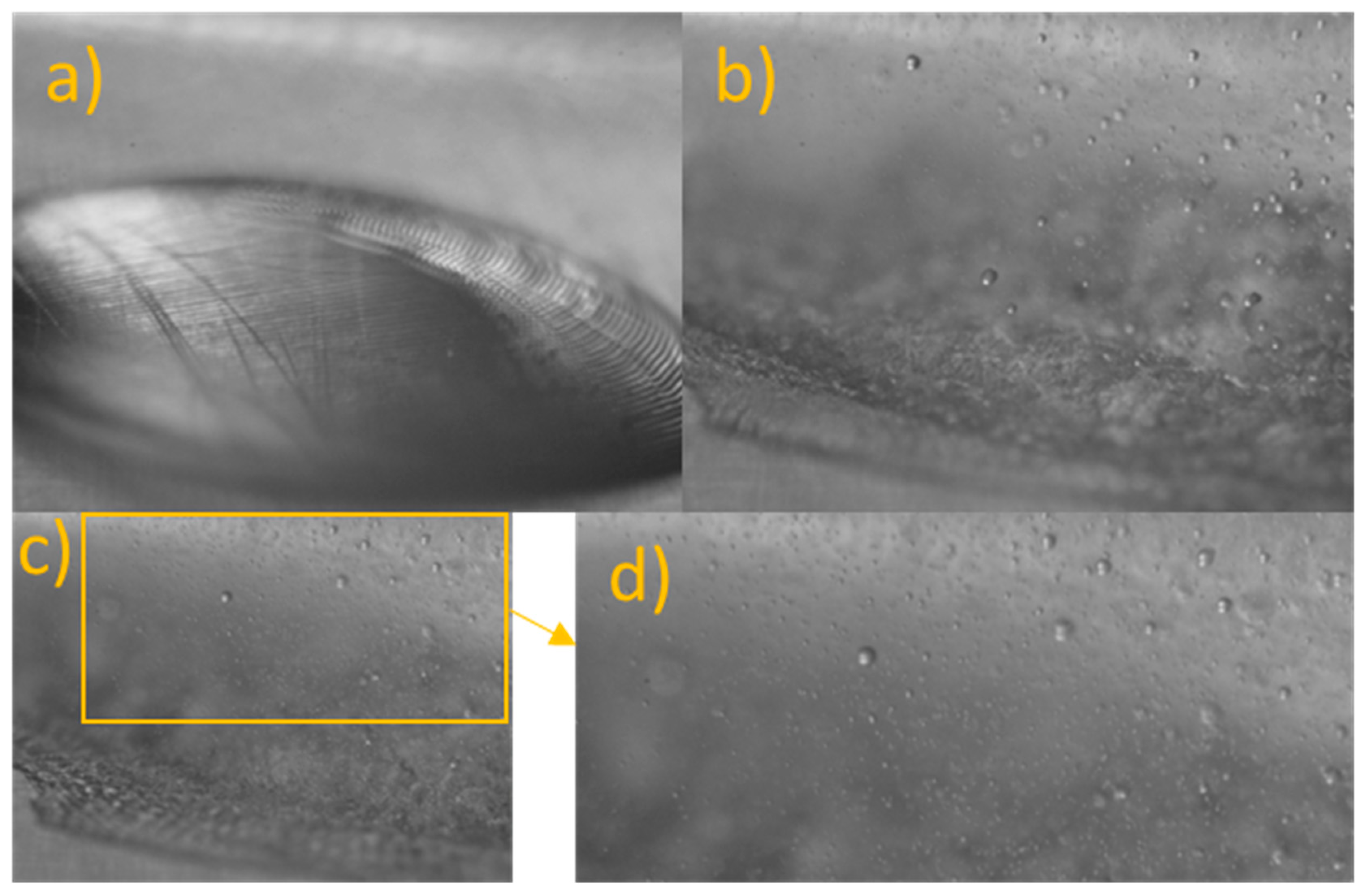 Applsci 13 08984 g012 Applsci 13 08984 g012