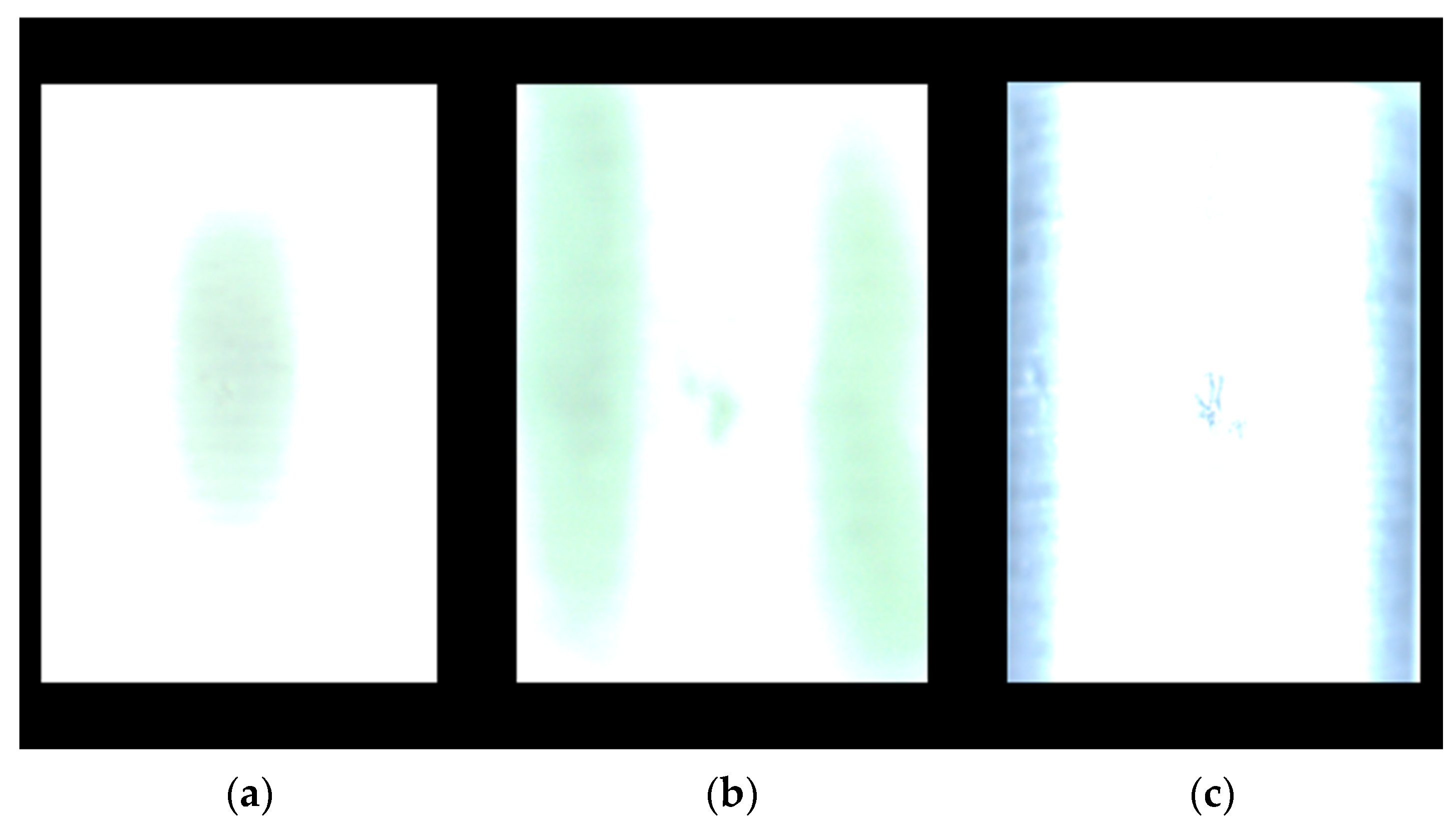 Applsci 13 08999 g018