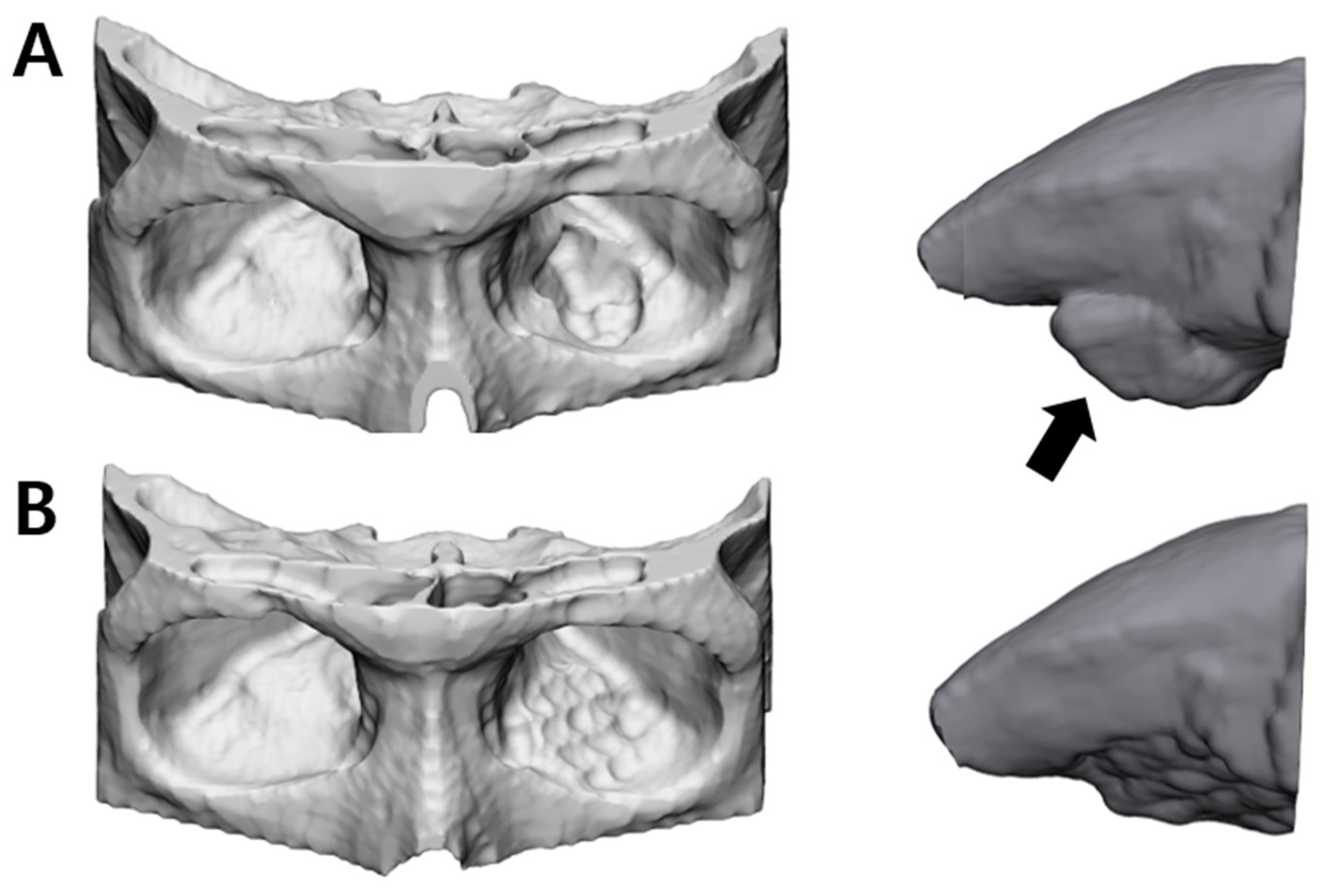 Applsci 13 09012 g003 Applsci 13 09012 g003