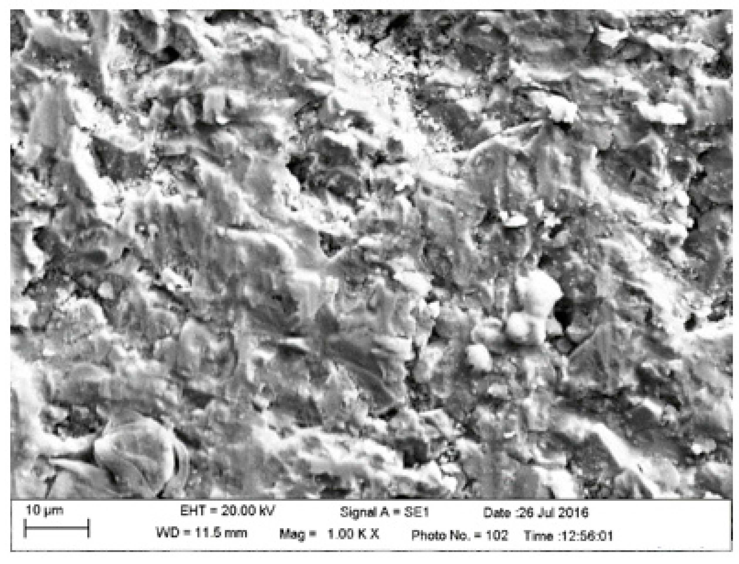 Applsci 13 09030 g010