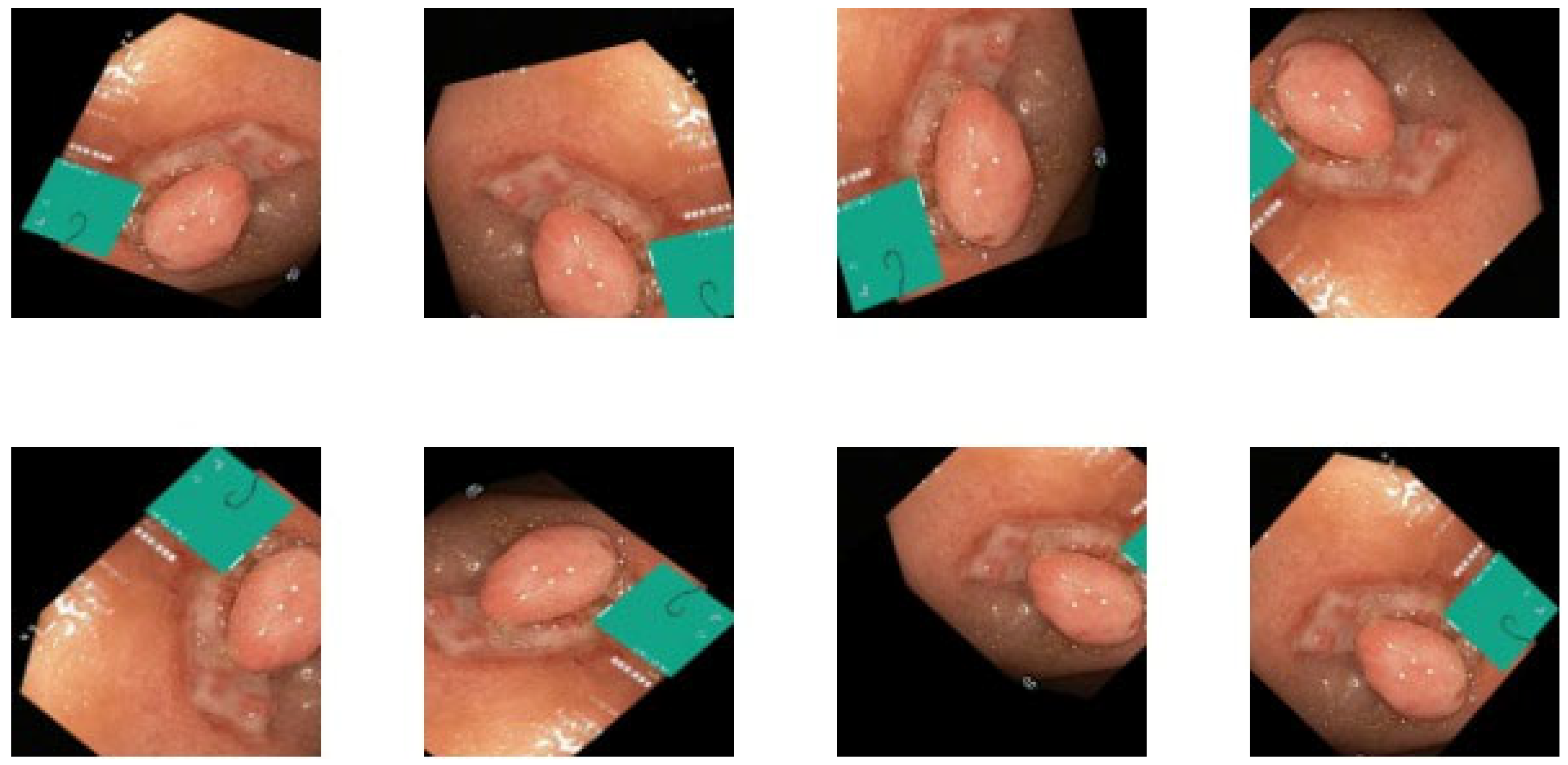 Applsci 13 09031 g002 Applsci 13 09031 g002