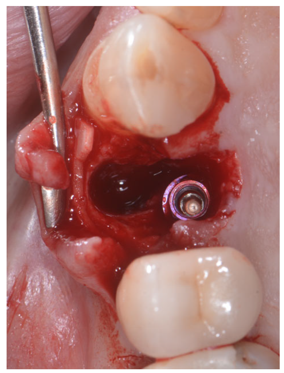 Applsci 13 09034 g002 Applsci 13 09034 g002