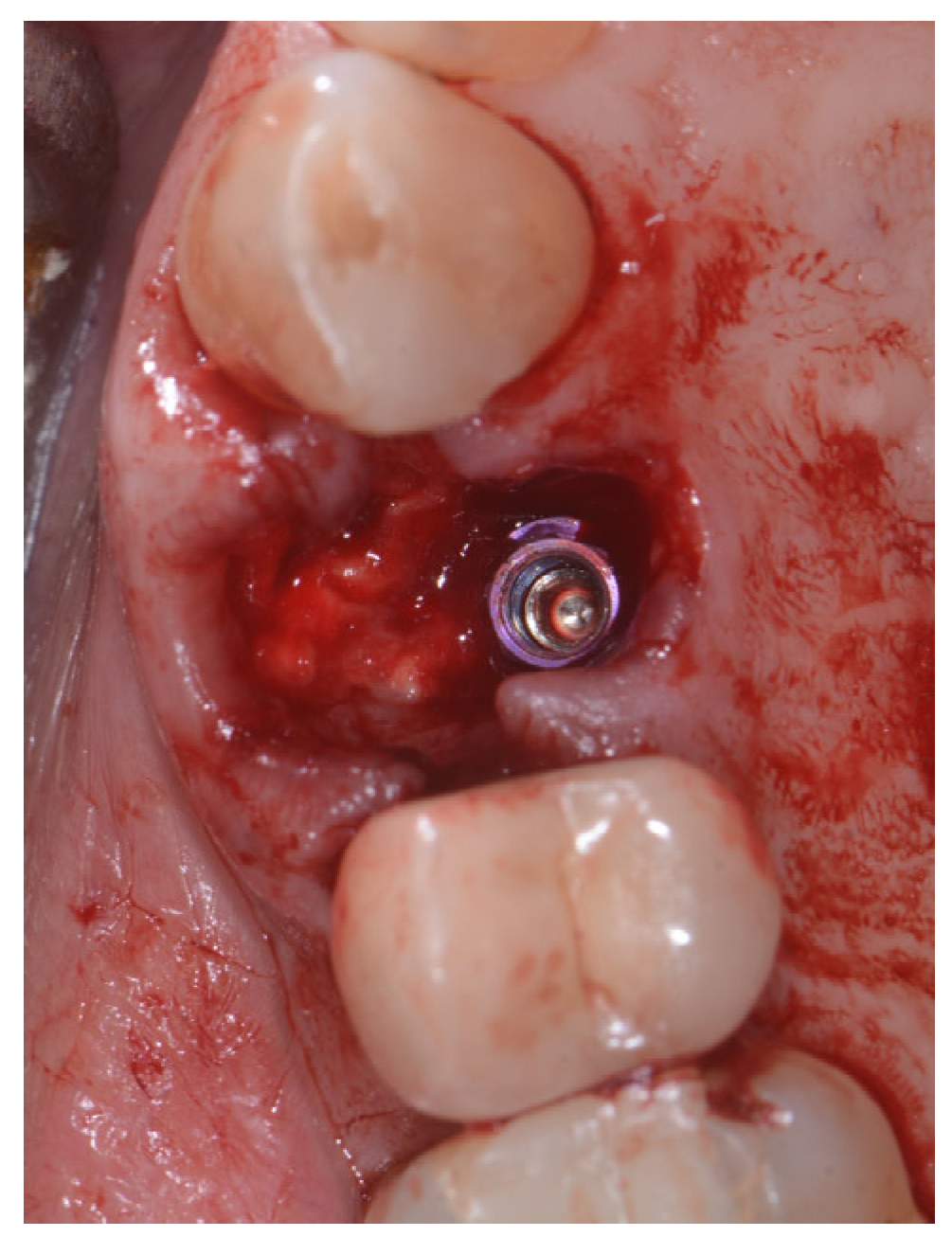 Applsci 13 09034 g003 Applsci 13 09034 g003