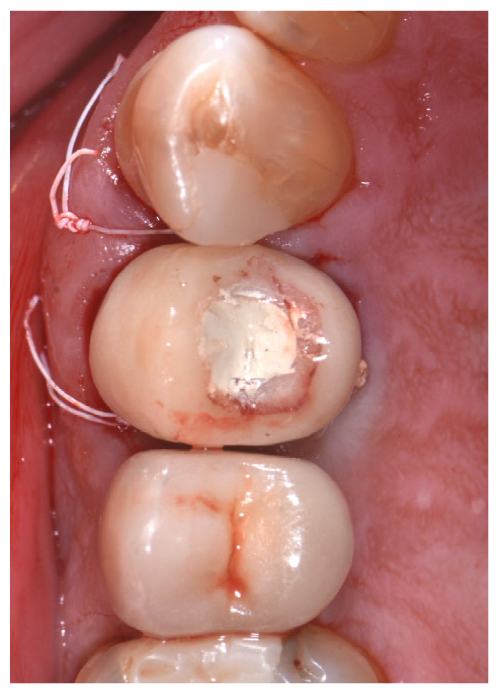 Applsci 13 09034 g004 Applsci 13 09034 g004