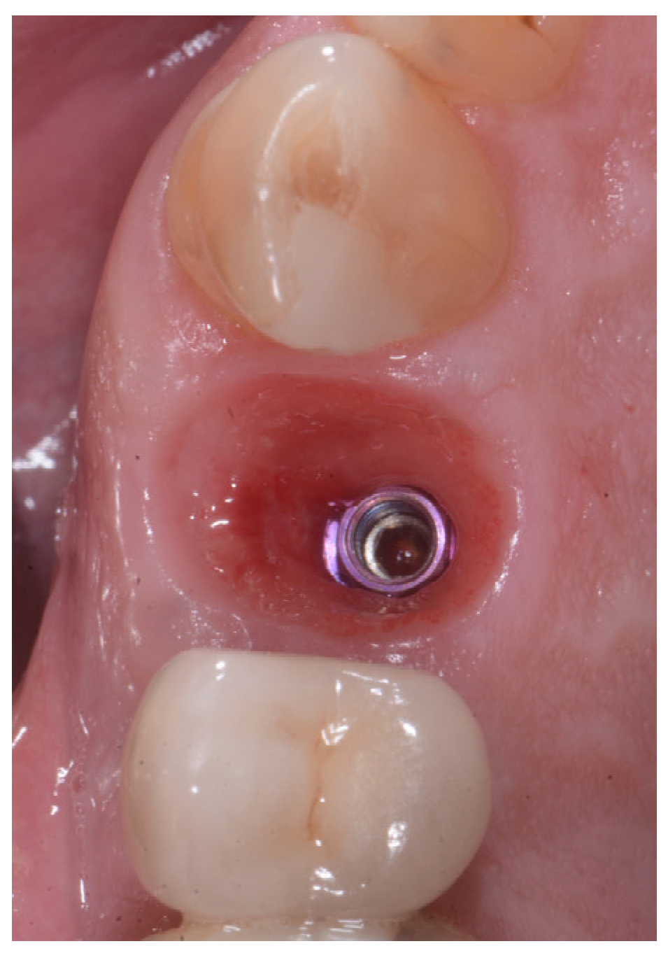 Applsci 13 09034 g005 Applsci 13 09034 g005