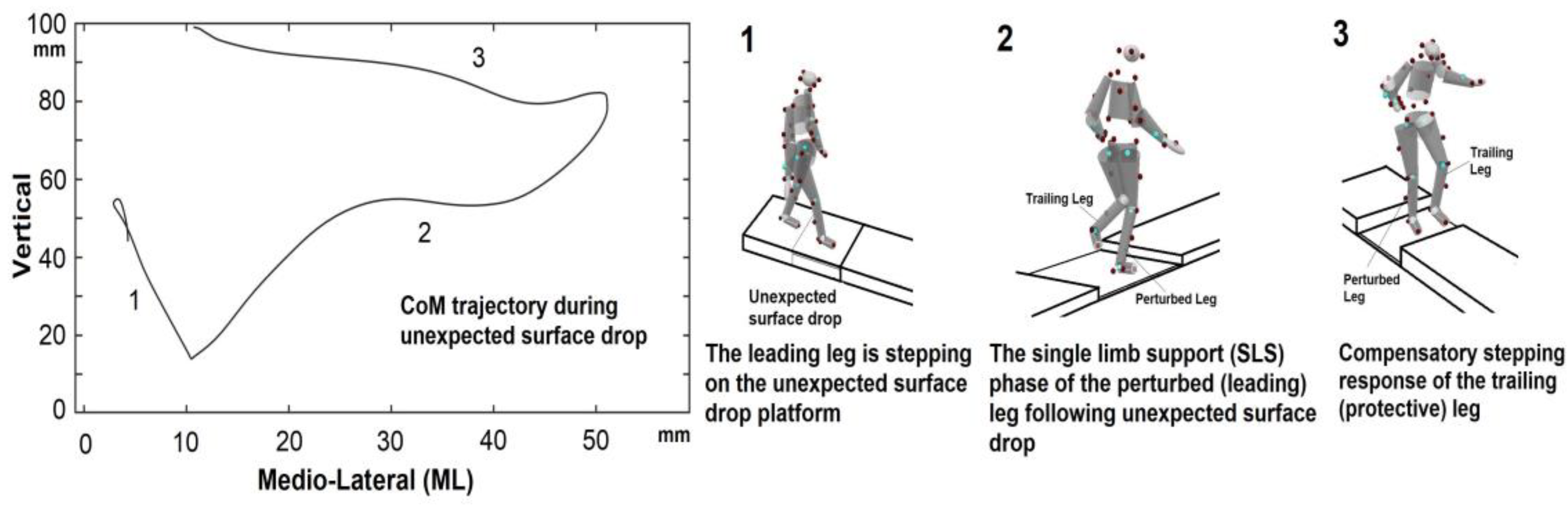 Applsci 13 09035 g001 Applsci 13 09035 g001