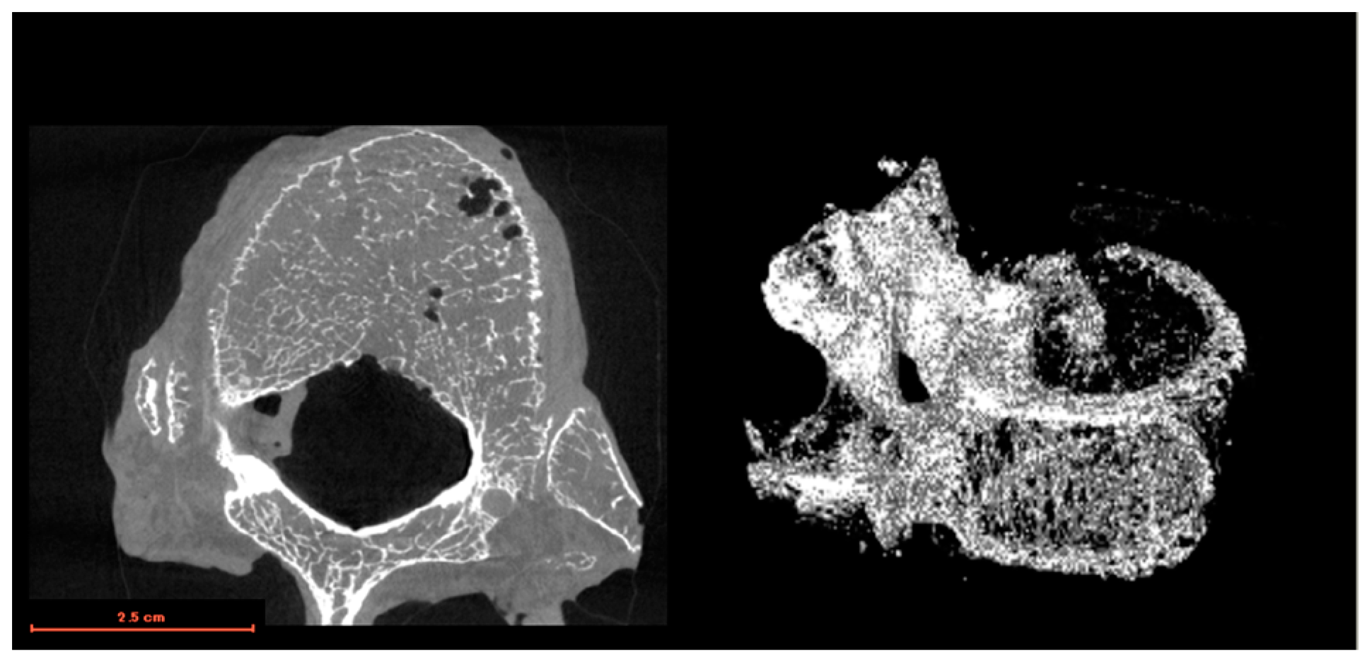 Applsci 13 09037 g001