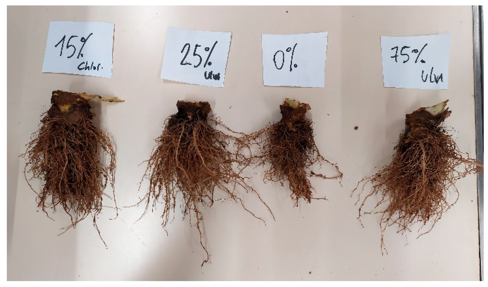 Applsci 13 09046 g002 Applsci 13 09046 g002