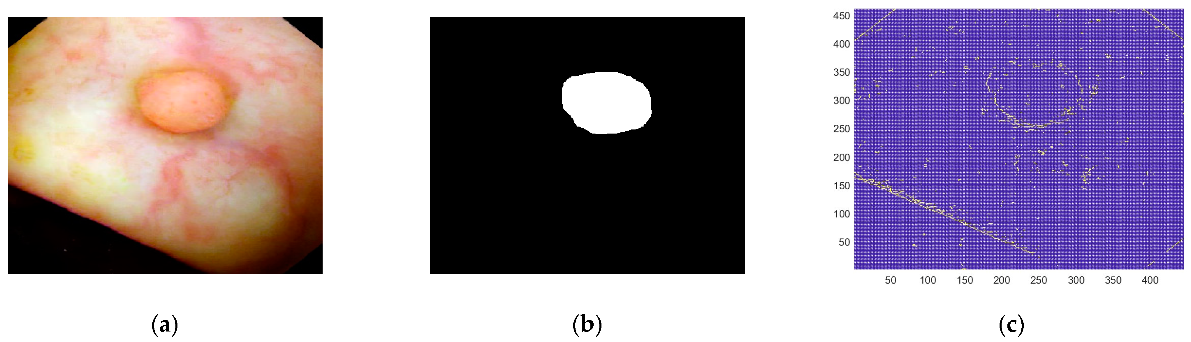 Applsci 13 09066 g001