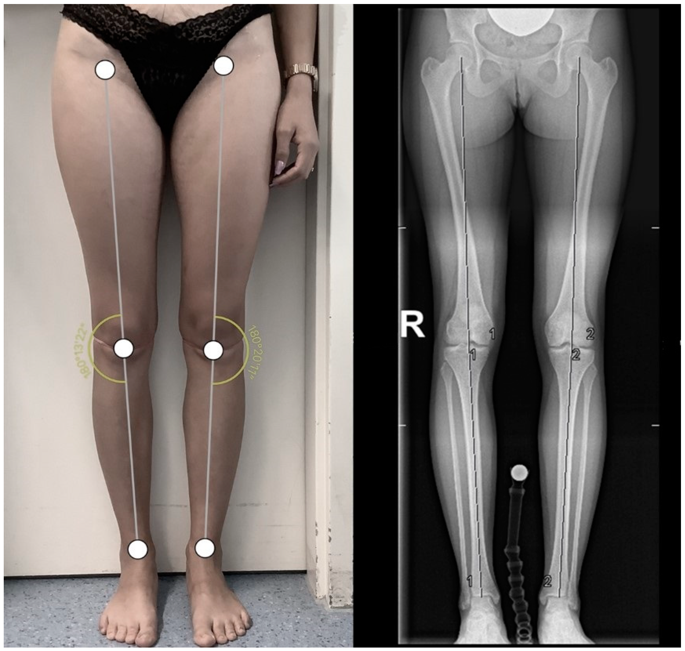 Applsci 13 09074 g002 Applsci 13 09074 g002