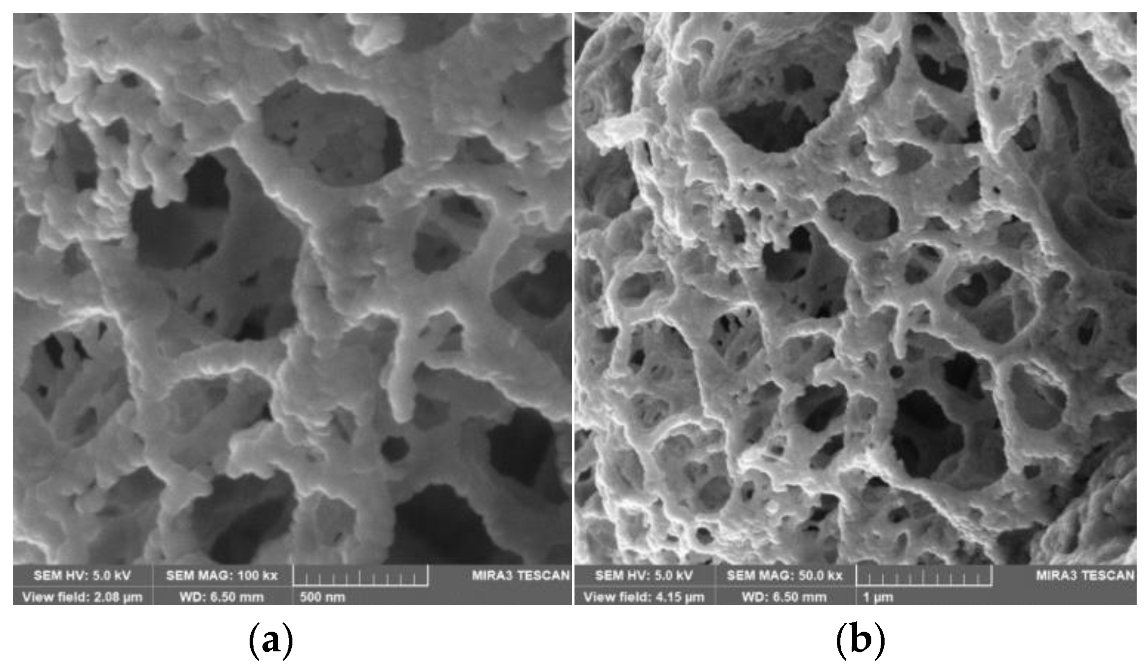 Applsci 13 09082 g003a