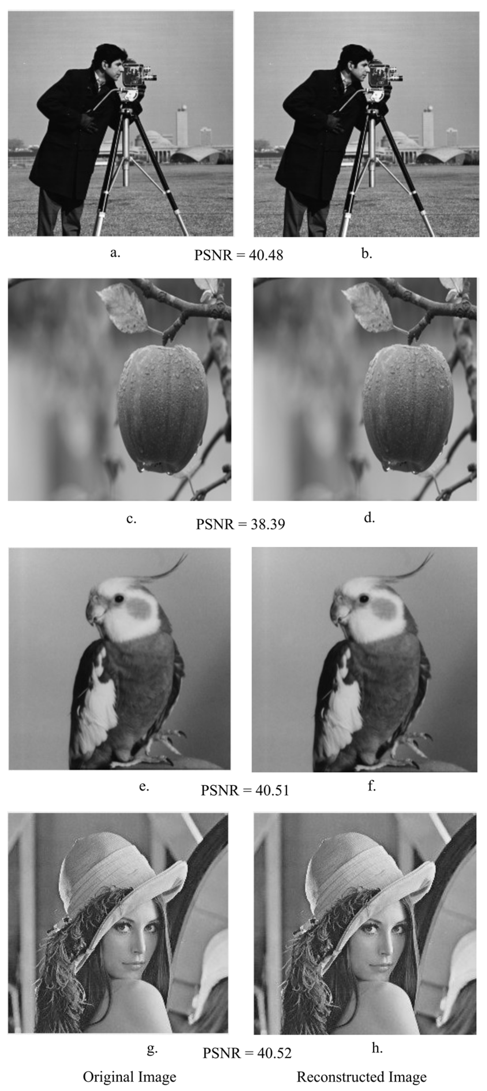 Applsci 13 09094 g010 550