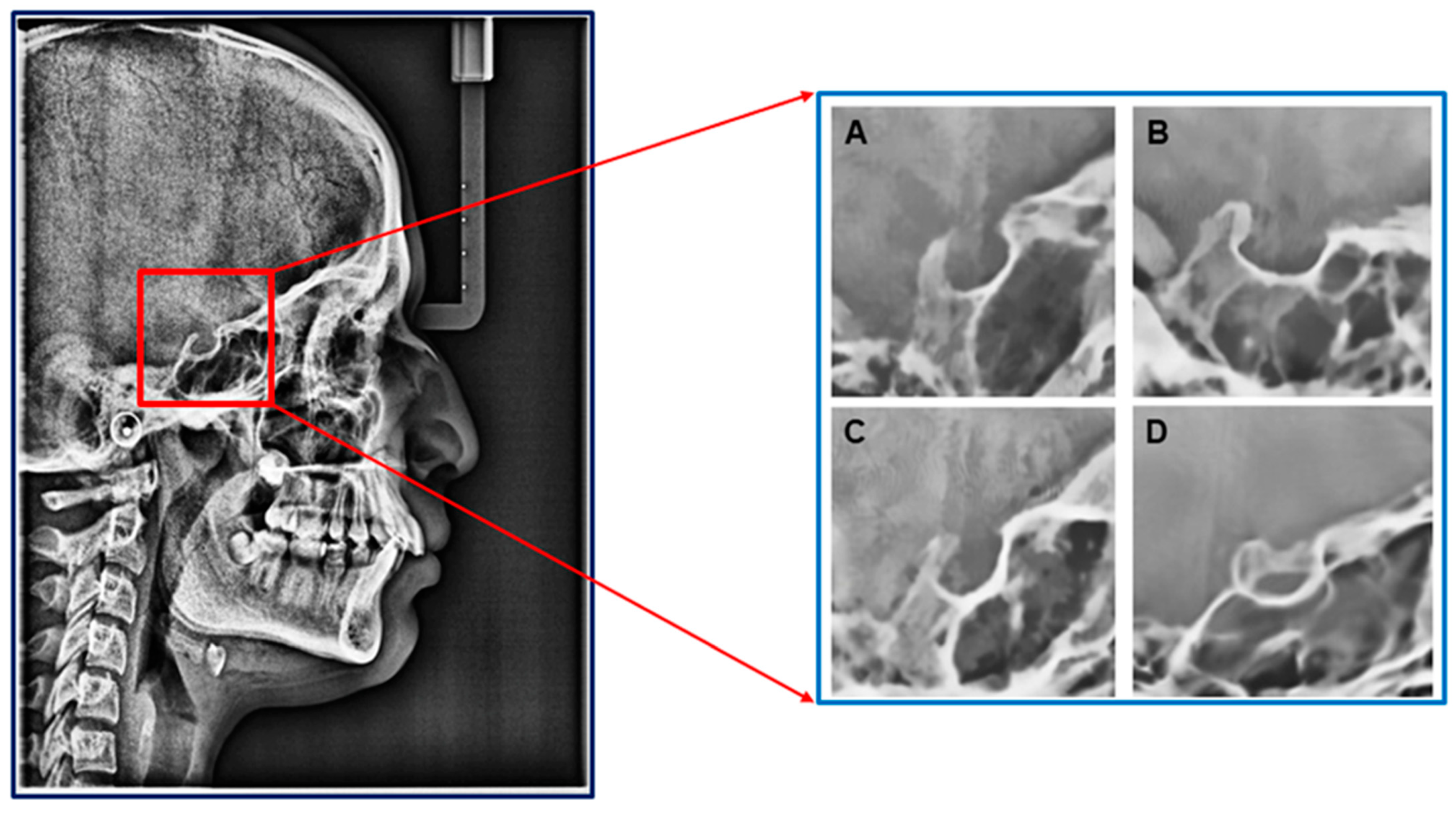 Applsci 13 09114 g001