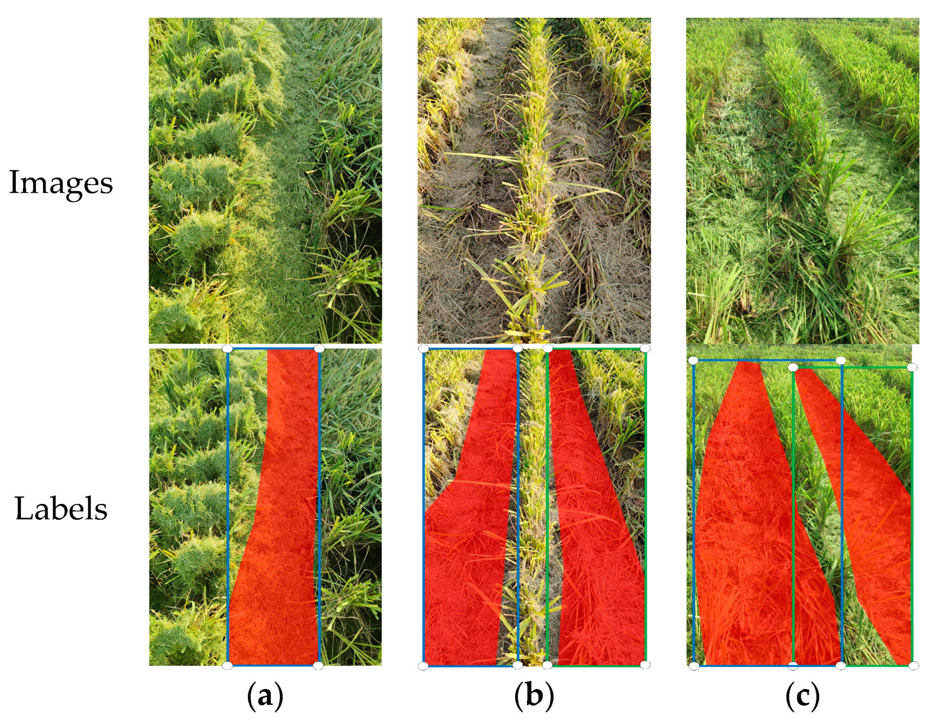 Applsci 13 09136 g001