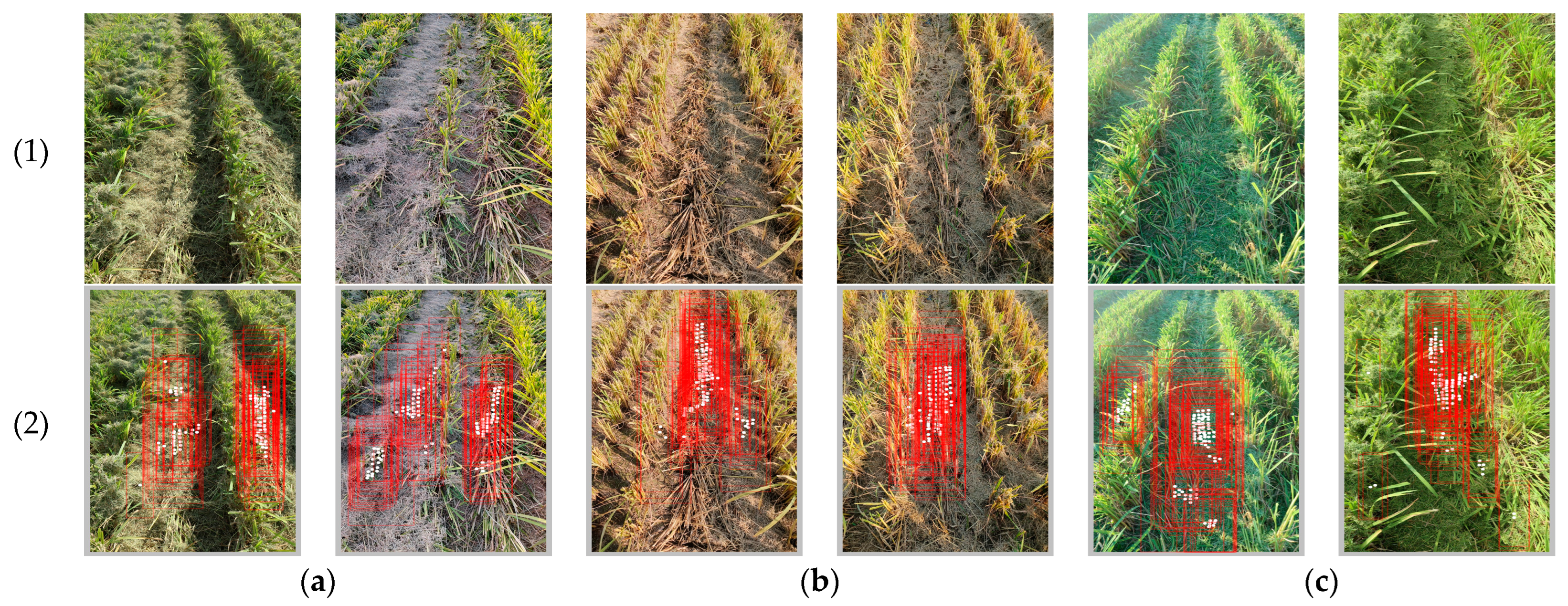 Applsci 13 09136 g006