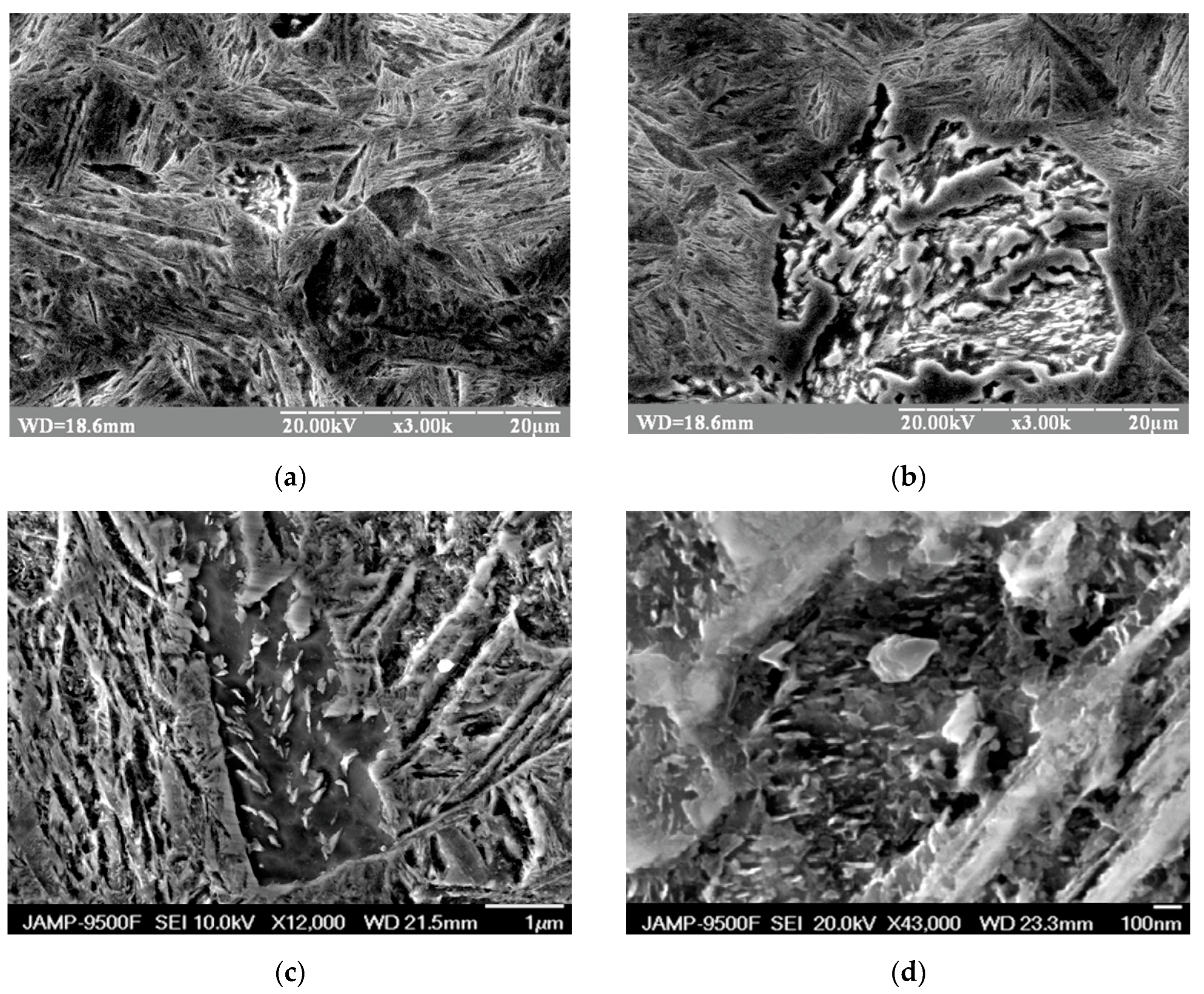 Applsci 13 09143 g004