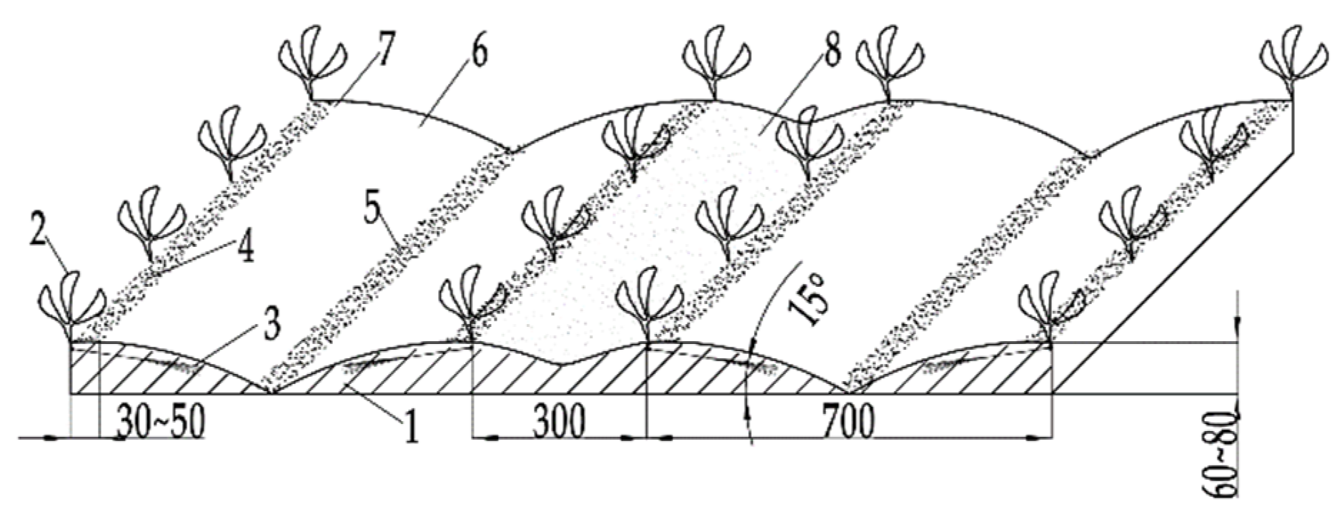 Applsci 13 09149 g001
