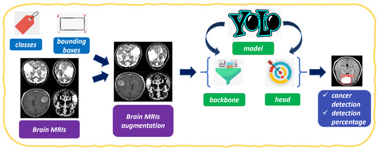 Applied Sciences | Free Full-Text | Object Detection for Brain Cancer ...