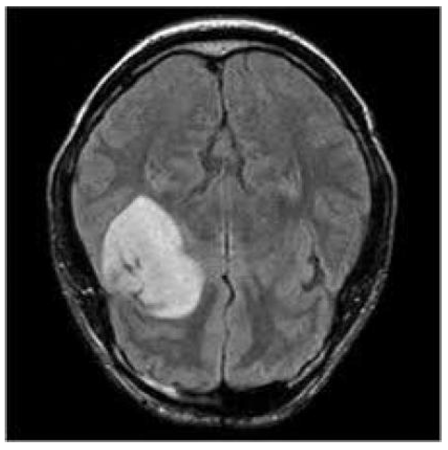 Applsci 13 09158 g002